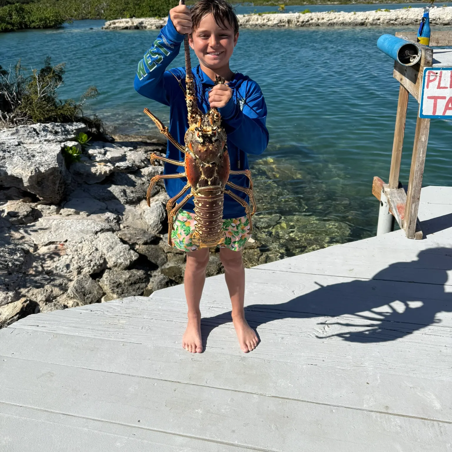 The most recent Caribbean spiny lobster catches on Fishbrain