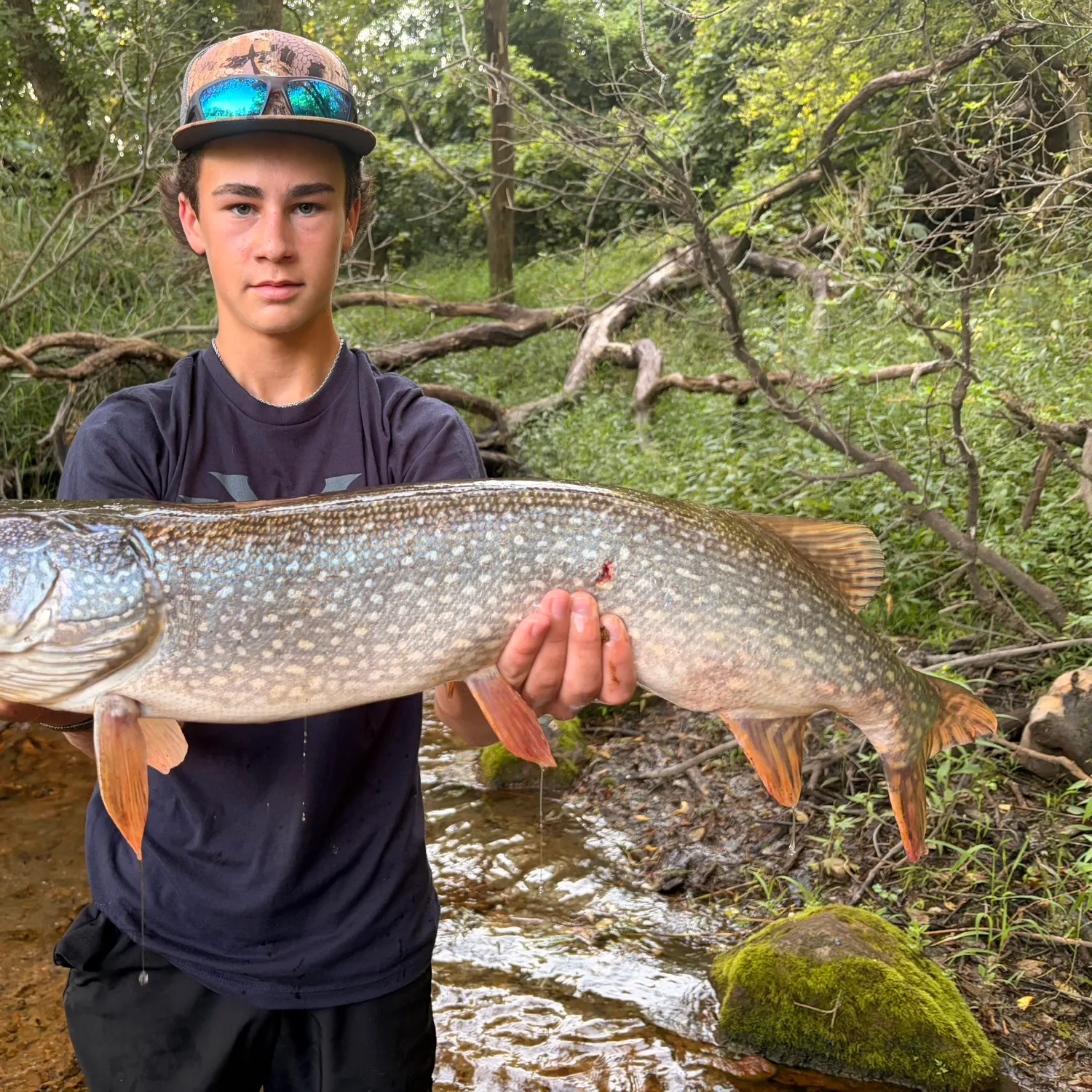 Northern pike caught on Fishbrain
