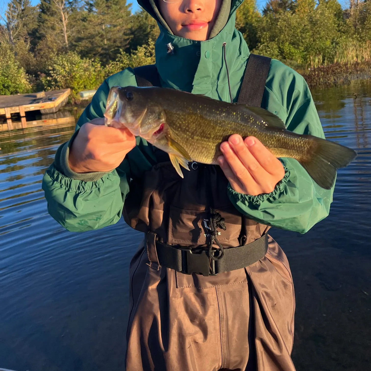 Smallmouth bass caught on Fishbrain