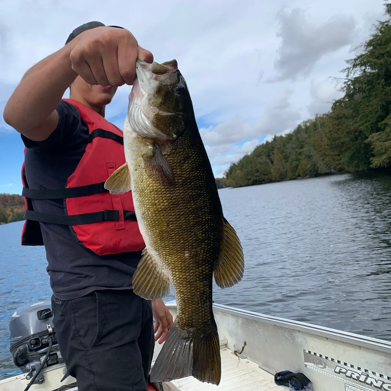 Smallmouth bass caught on Fishbrain