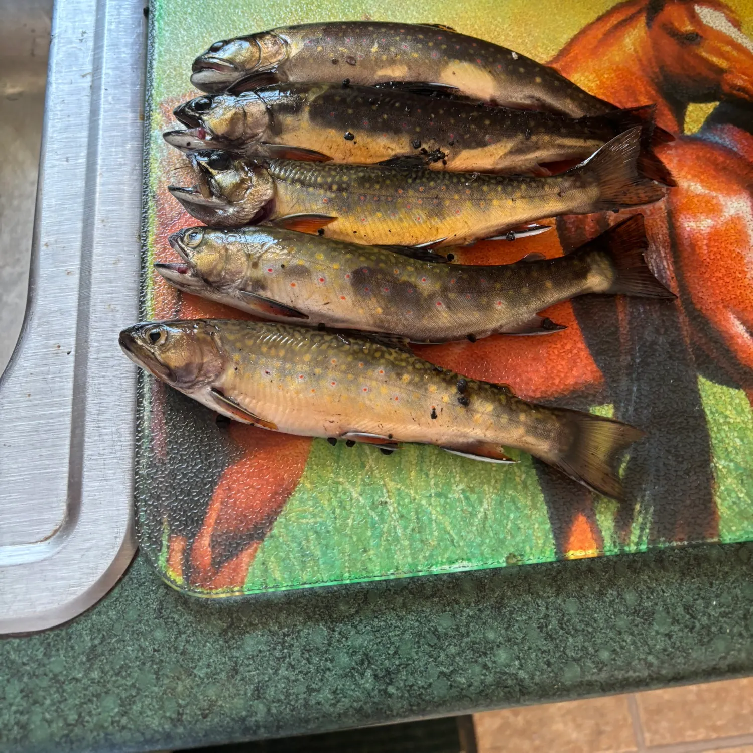 recently logged catches