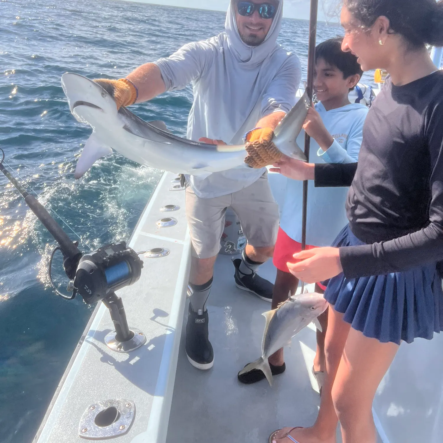The most recent Silky shark catches on Fishbrain