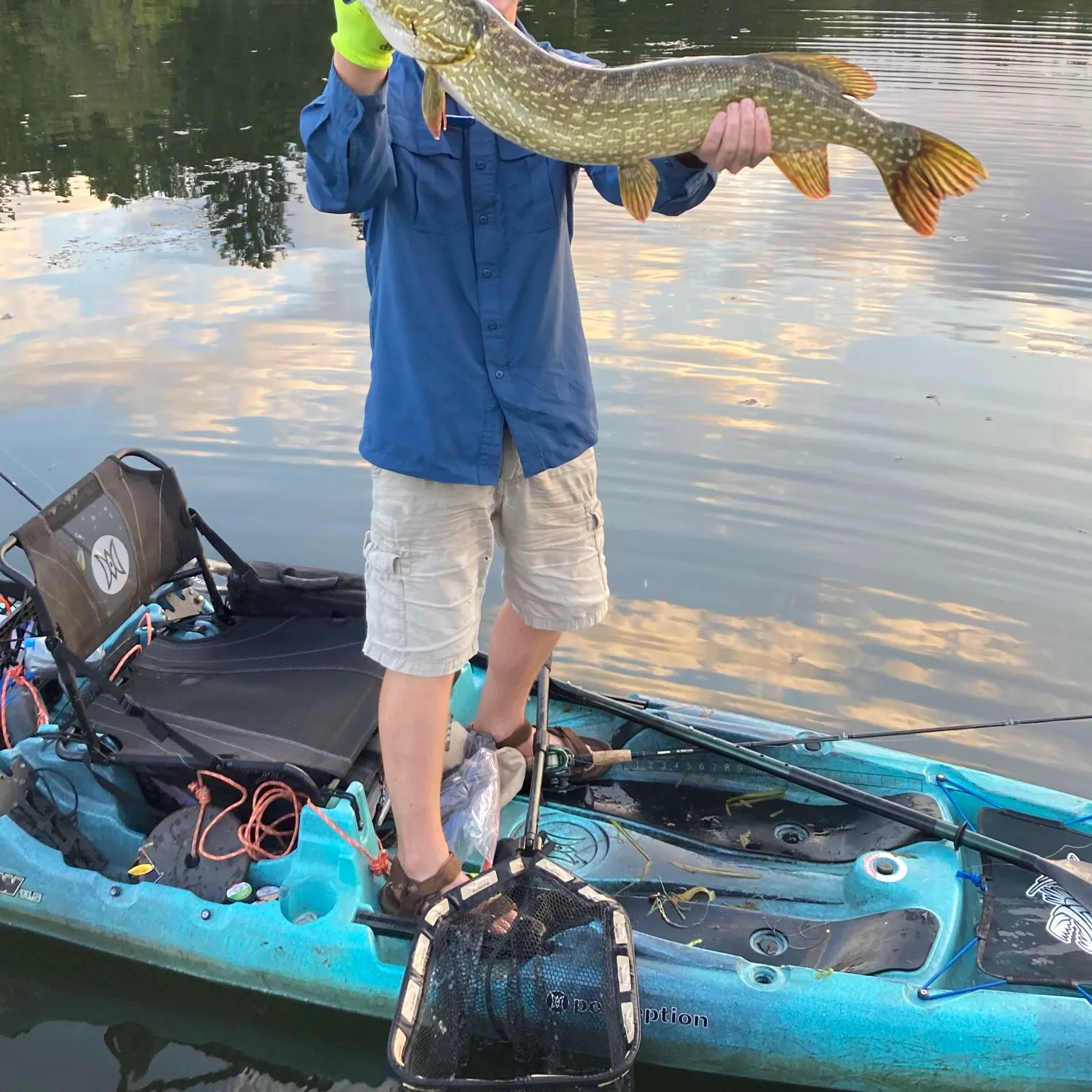 Northern pike caught on Fishbrain