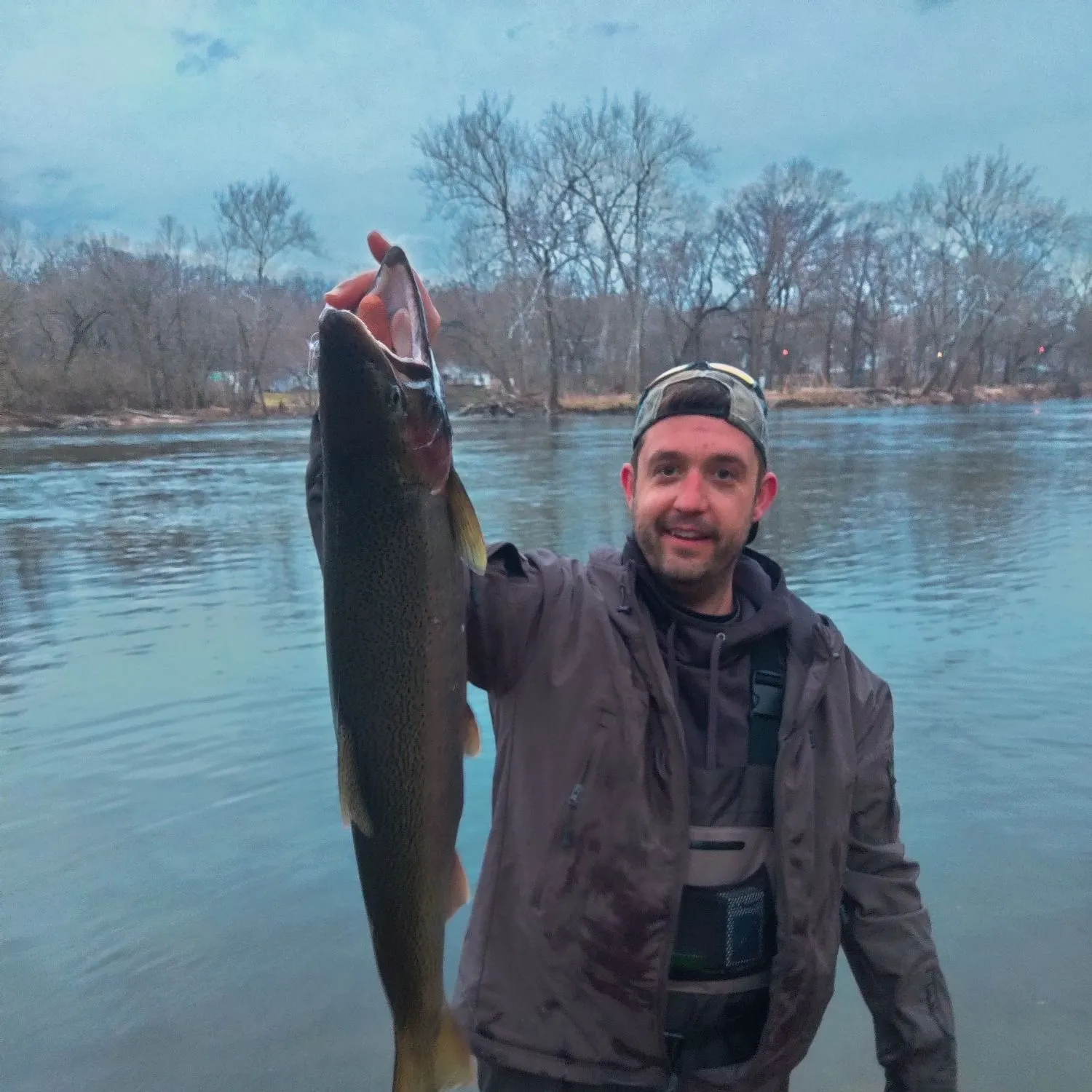 The most recent Steelhead catches on Fishbrain