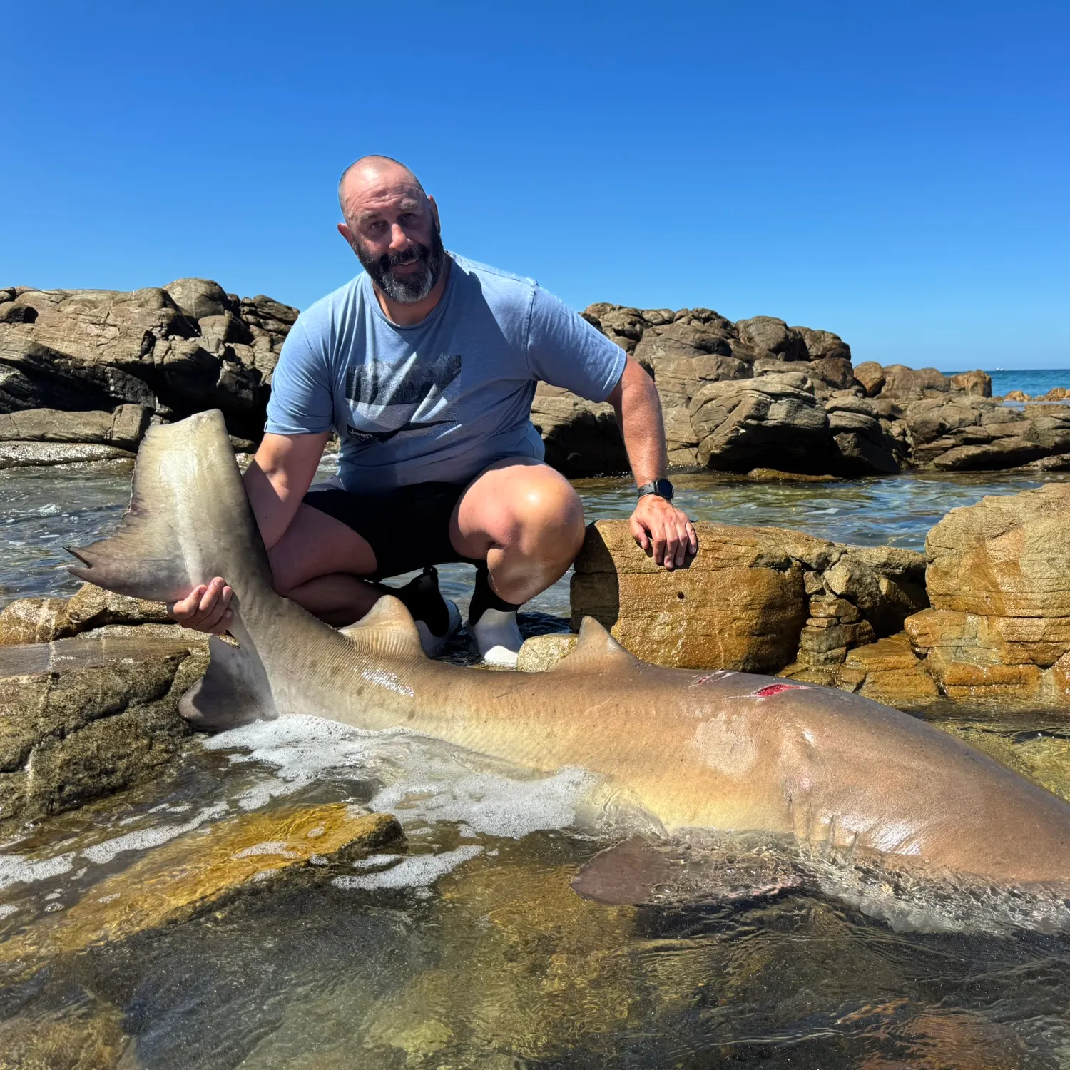 The most recent Sand tiger shark catches on Fishbrain