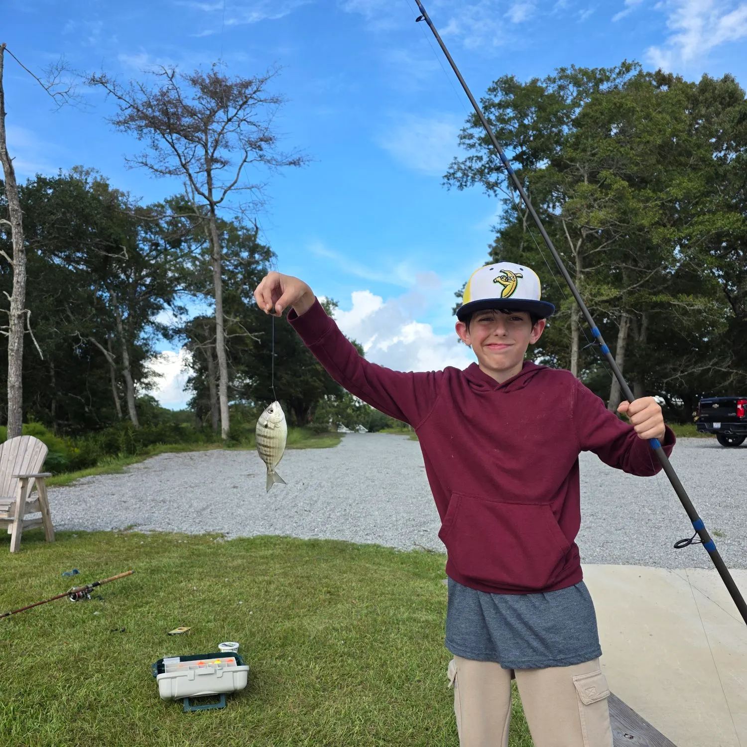 Pinfish caught on Fishbrain