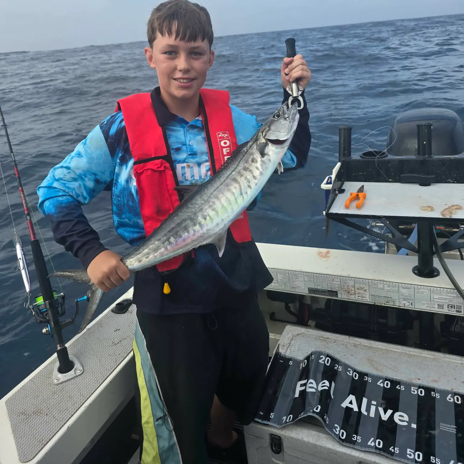 The most recent Narrow-barred Spanish mackerel catches on Fishbrain