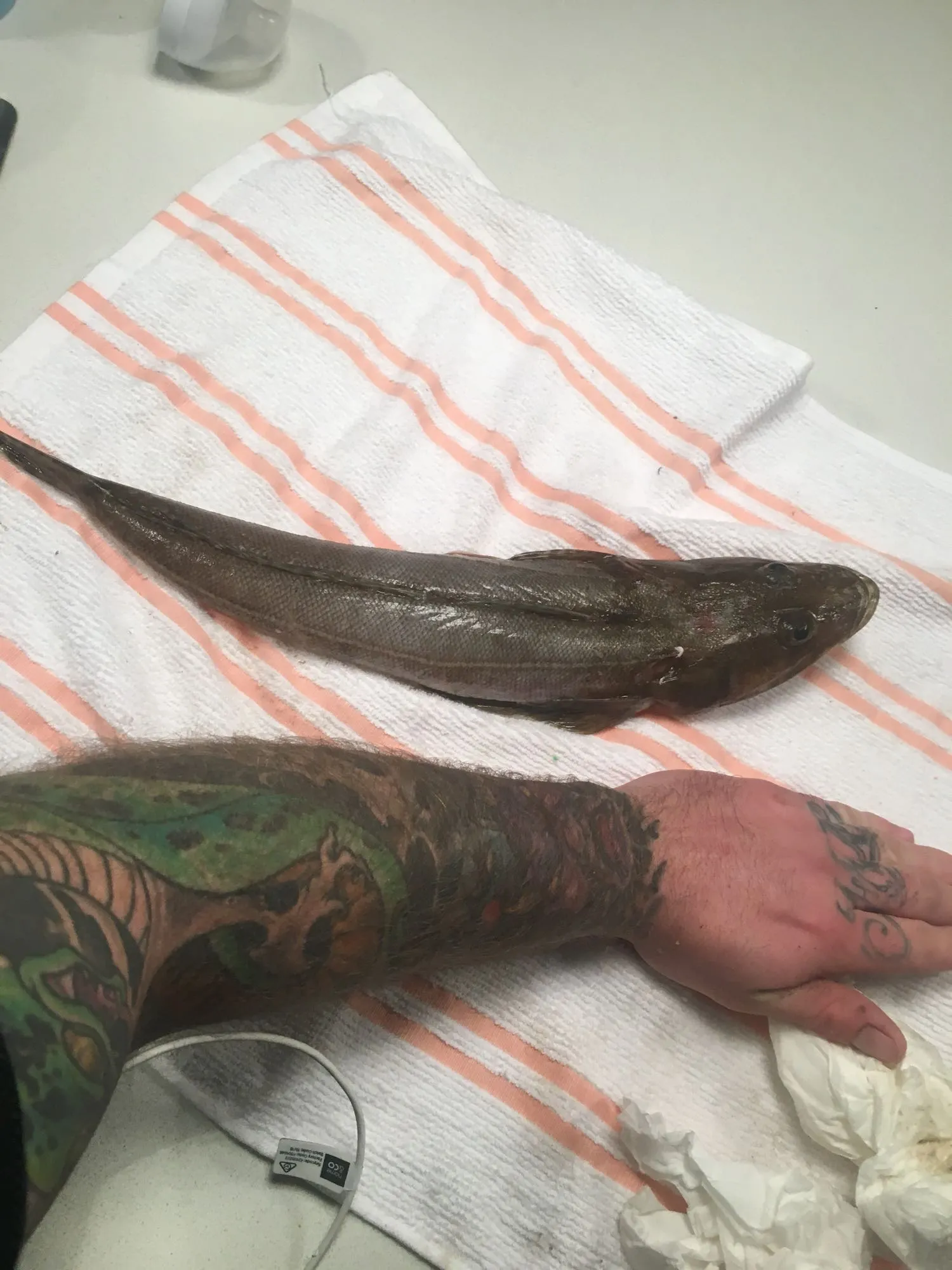 Post image from bthomas8619