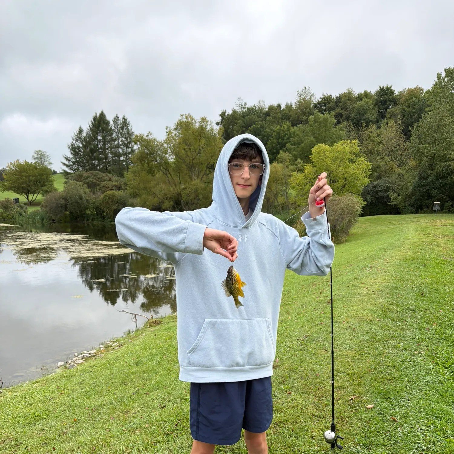 Pumpkinseed caught on Fishbrain