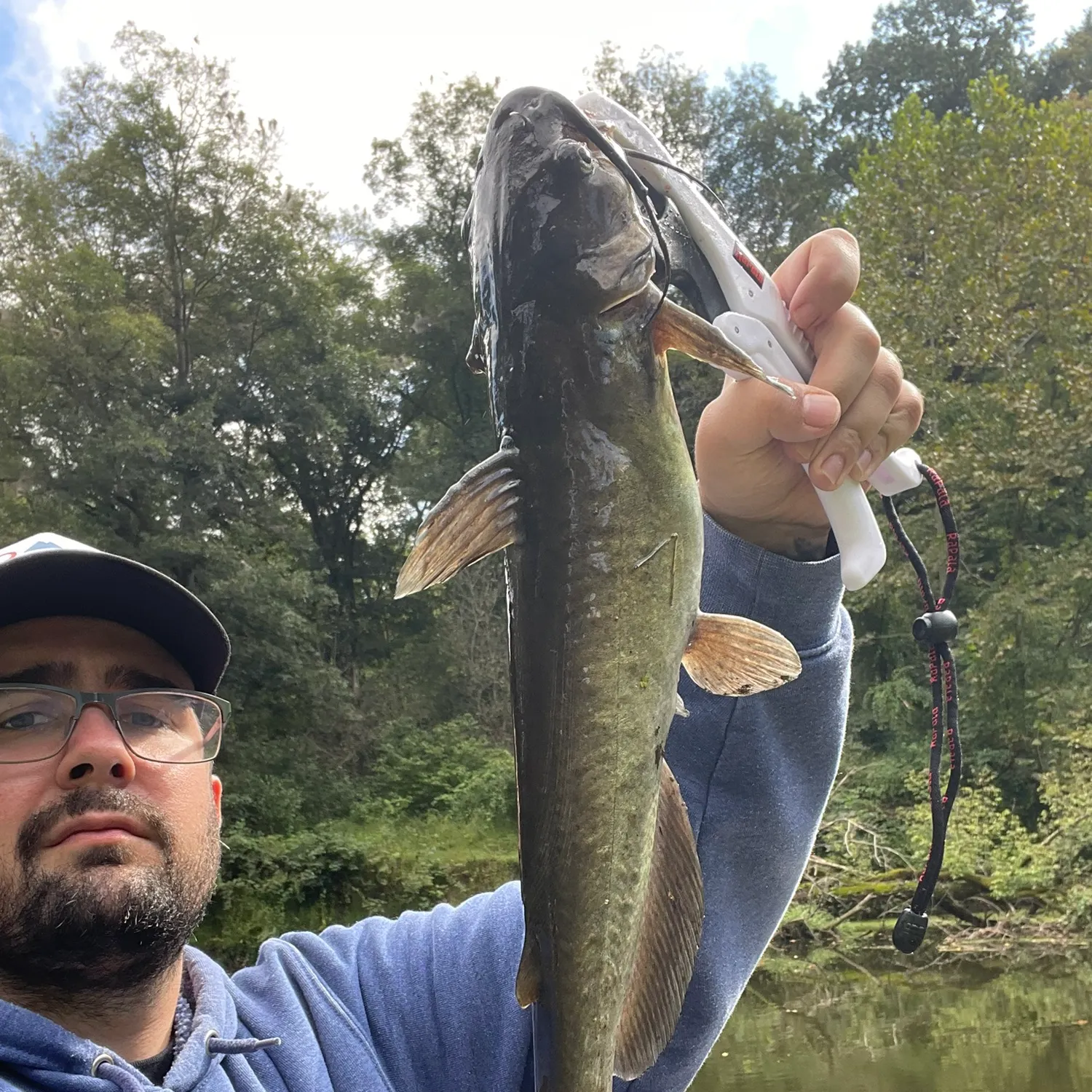 Channel catfish caught on Fishbrain