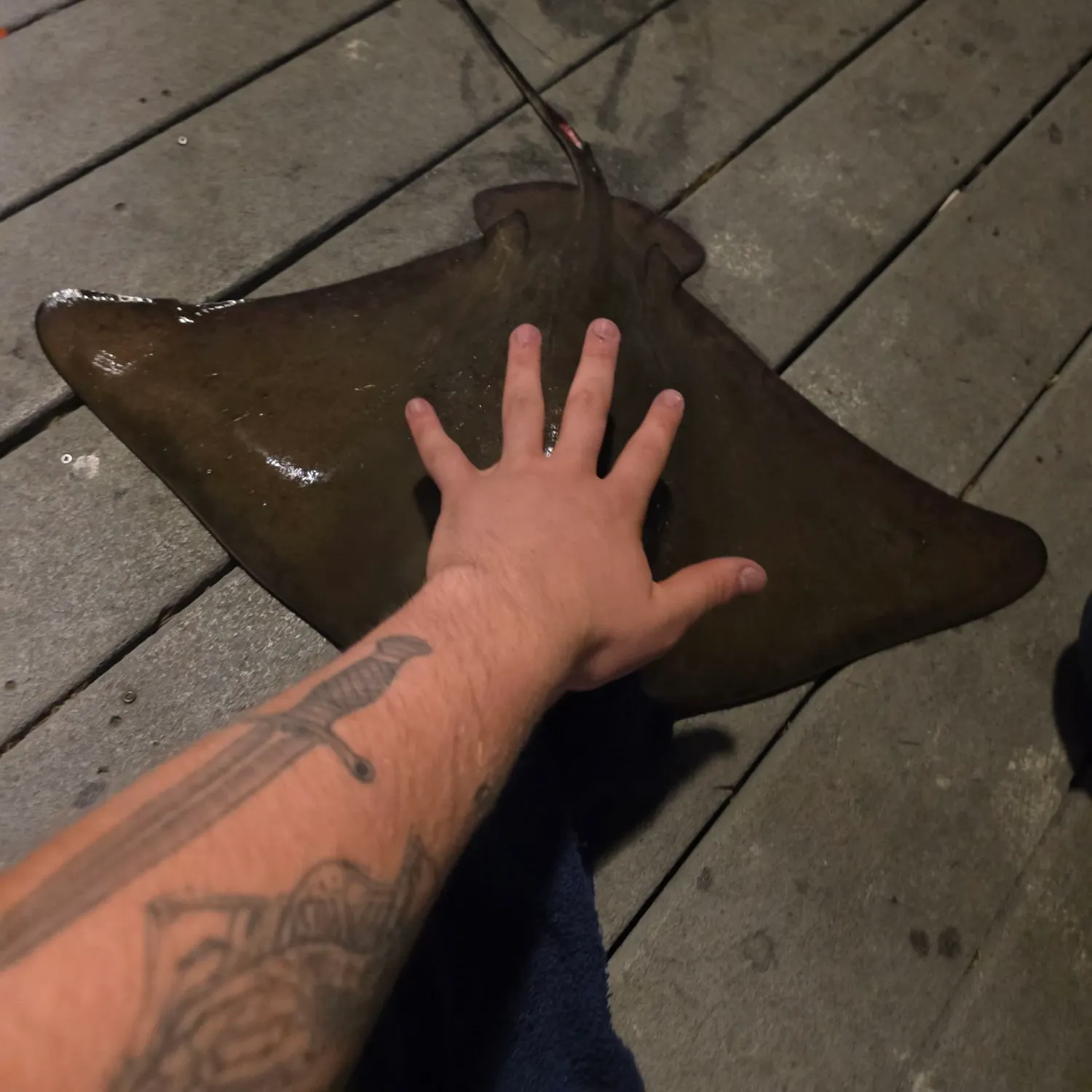 catch