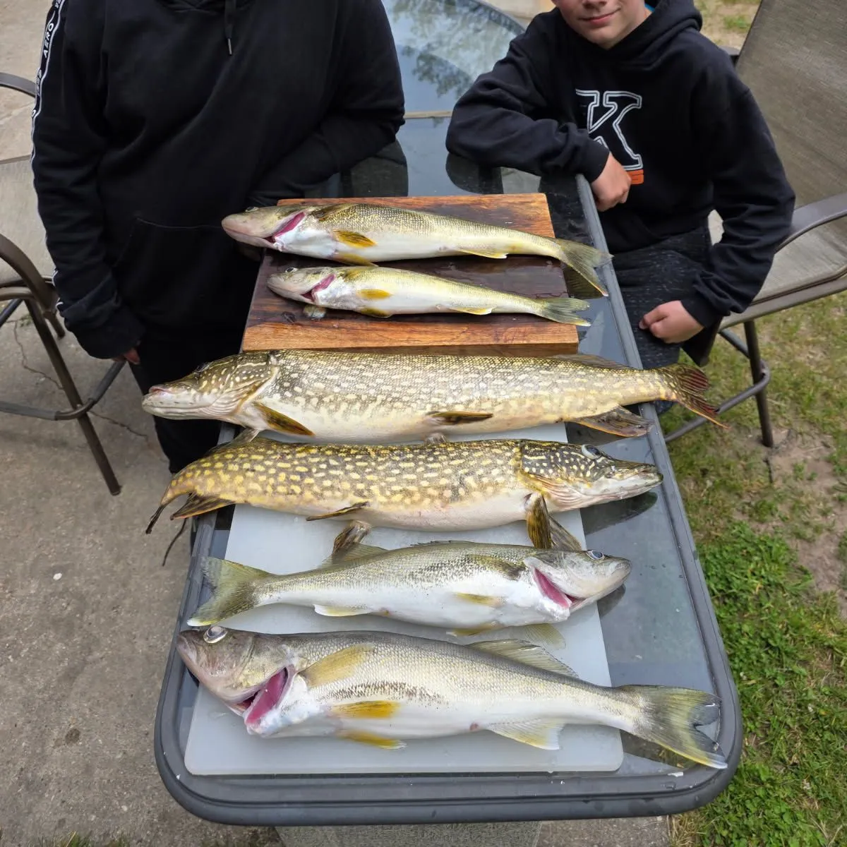 recently logged catches