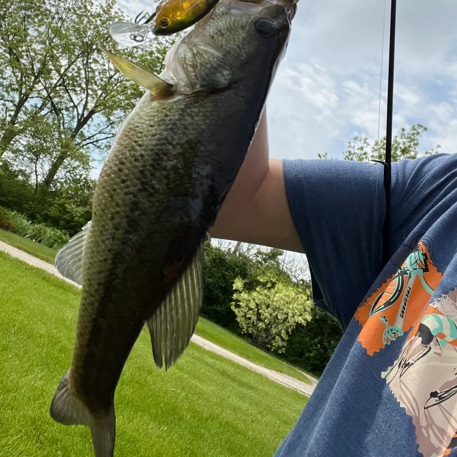 Smallmouth bass caught on Fishbrain