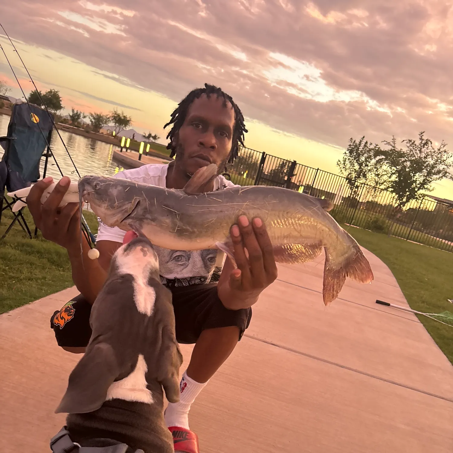 recently logged catches