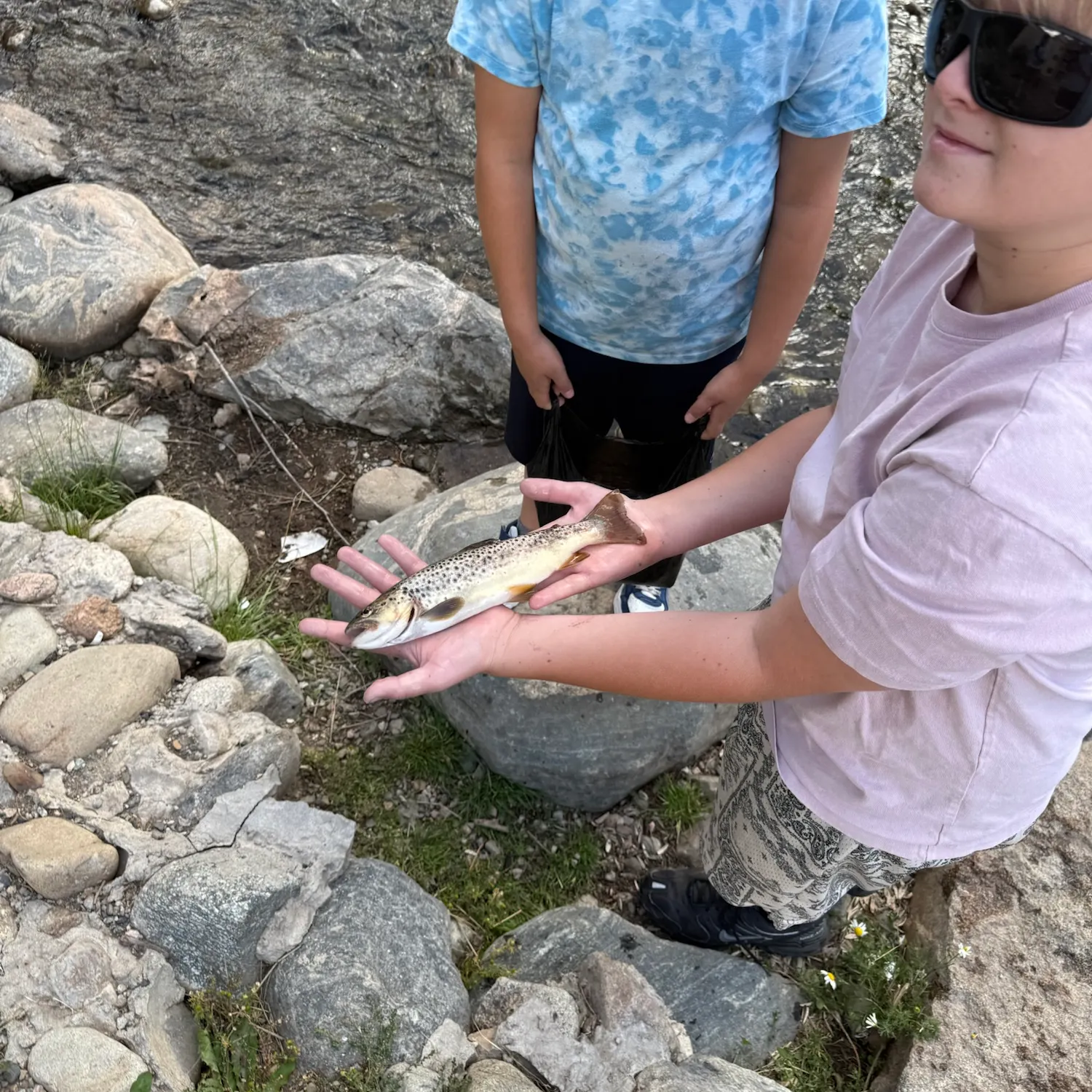 Lake trout caught on Fishbrain