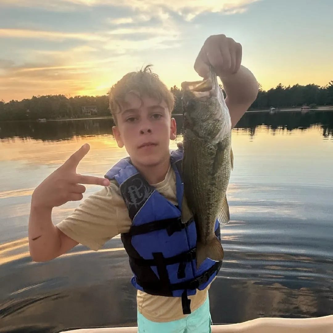 Largemouth bass caught on Fishbrain
