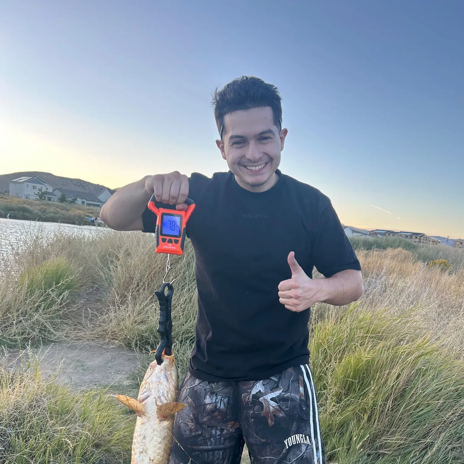 Common carp caught on Fishbrain