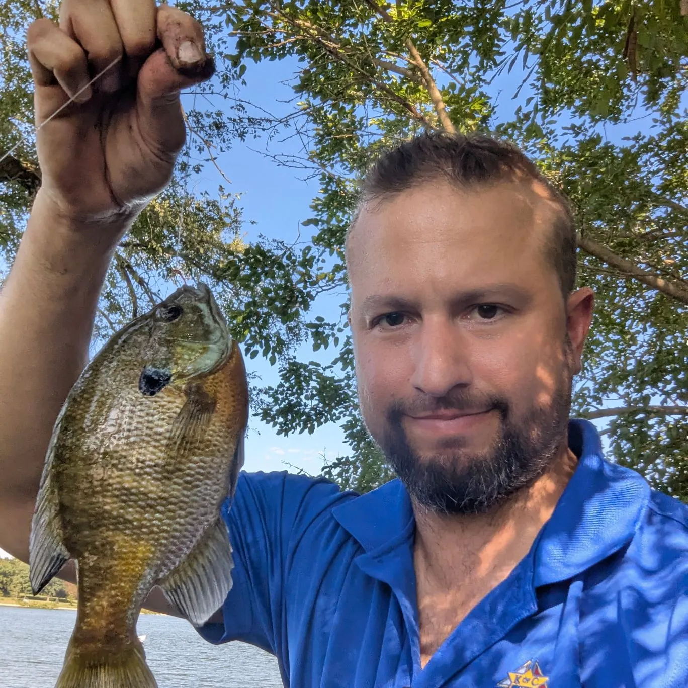 Bluegill caught on Fishbrain