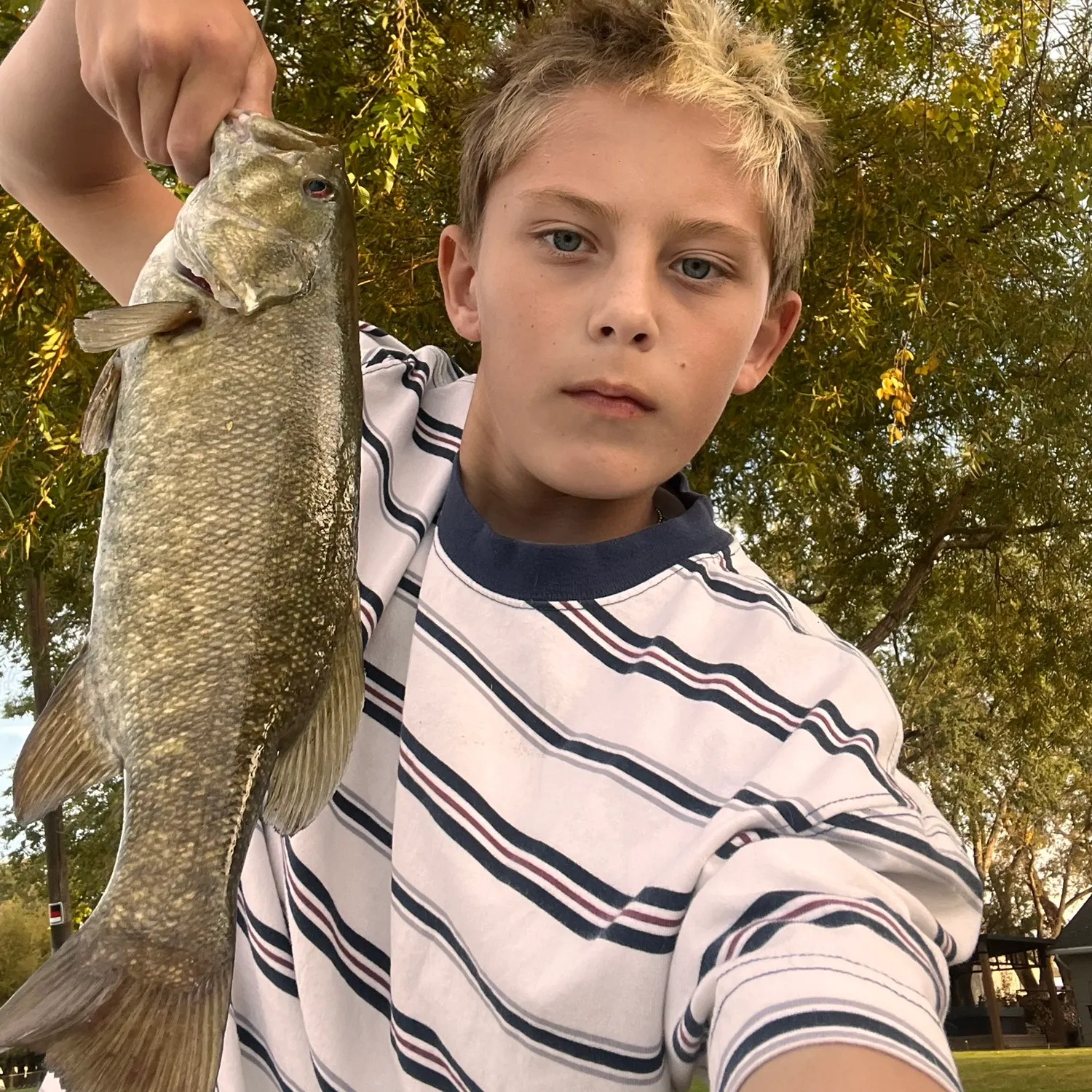 Smallmouth bass caught on Fishbrain