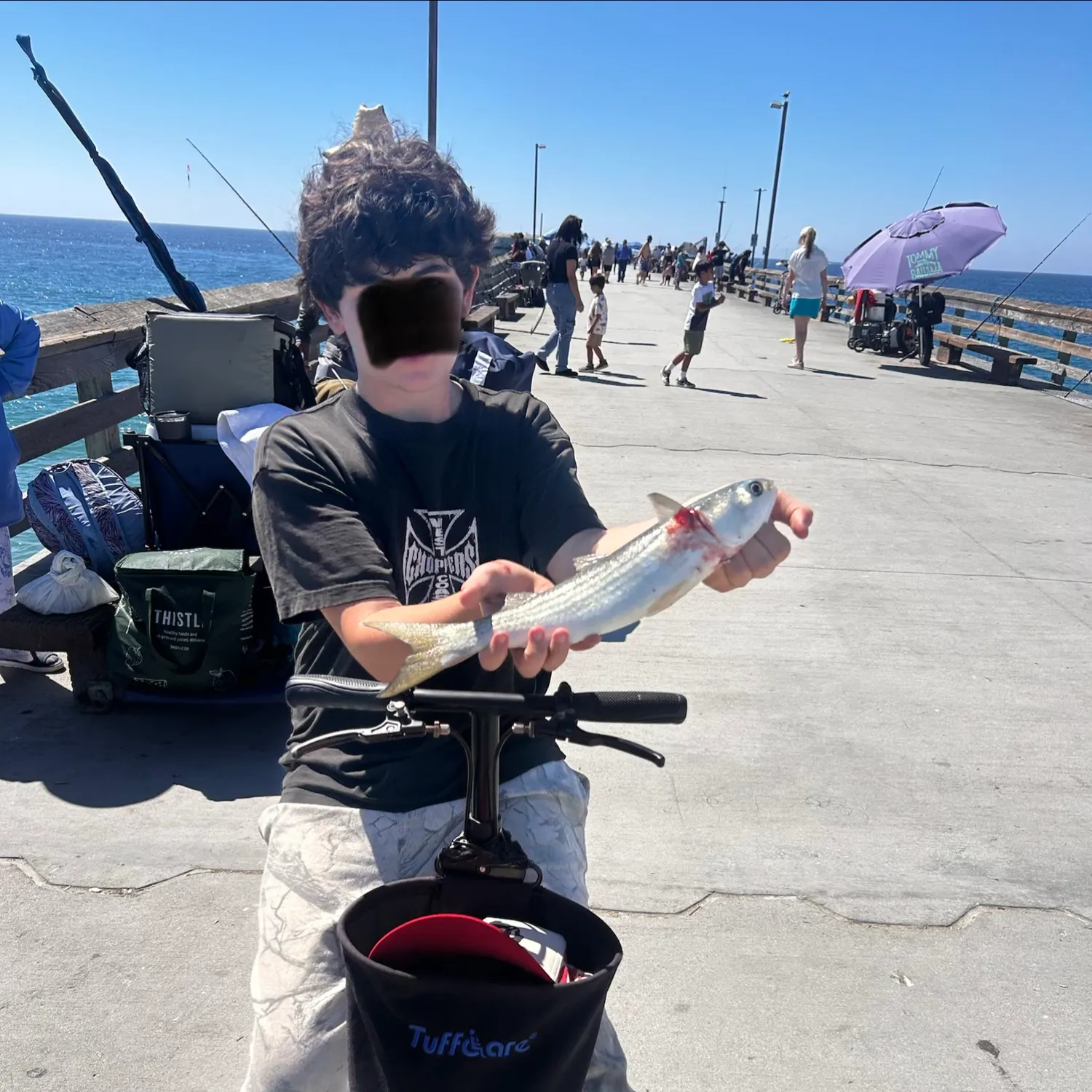 Striped mullet caught on Fishbrain