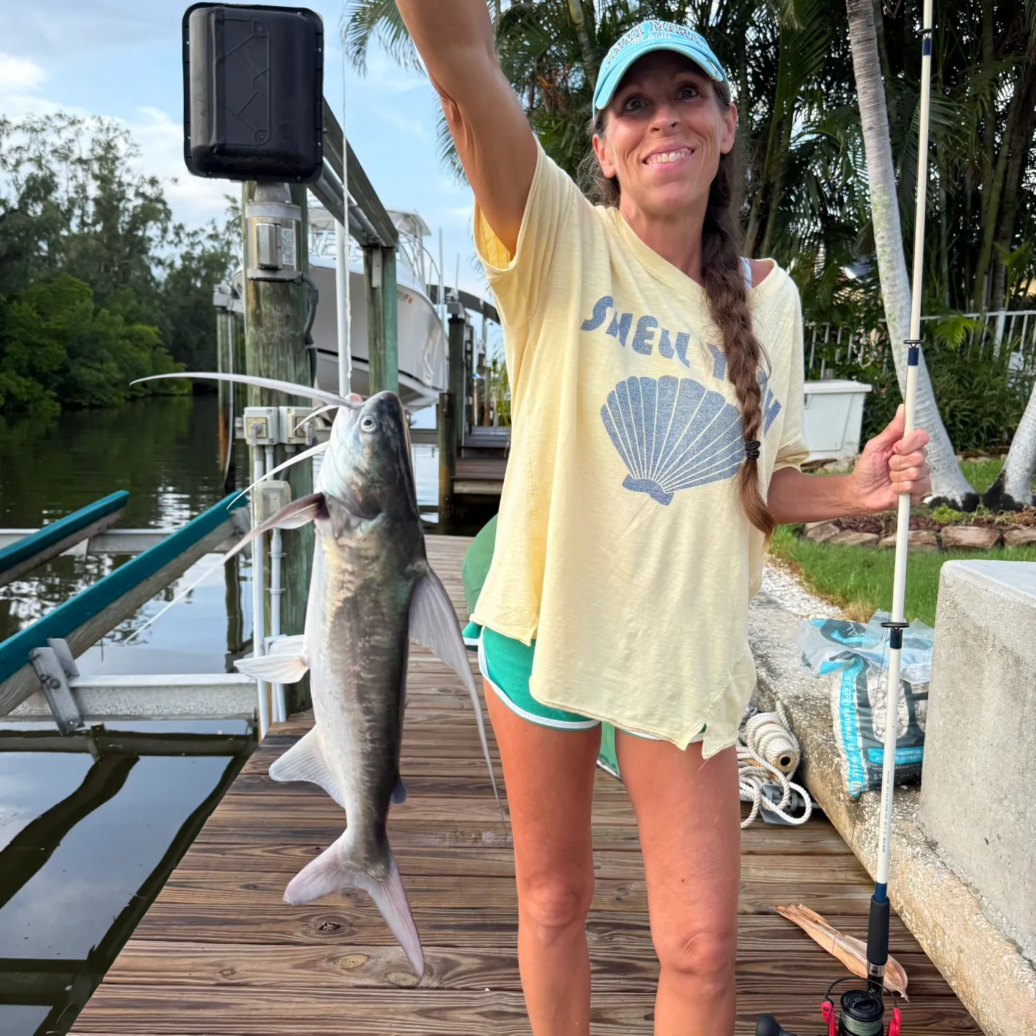 Gafftopsail sea catfish caught on Fishbrain