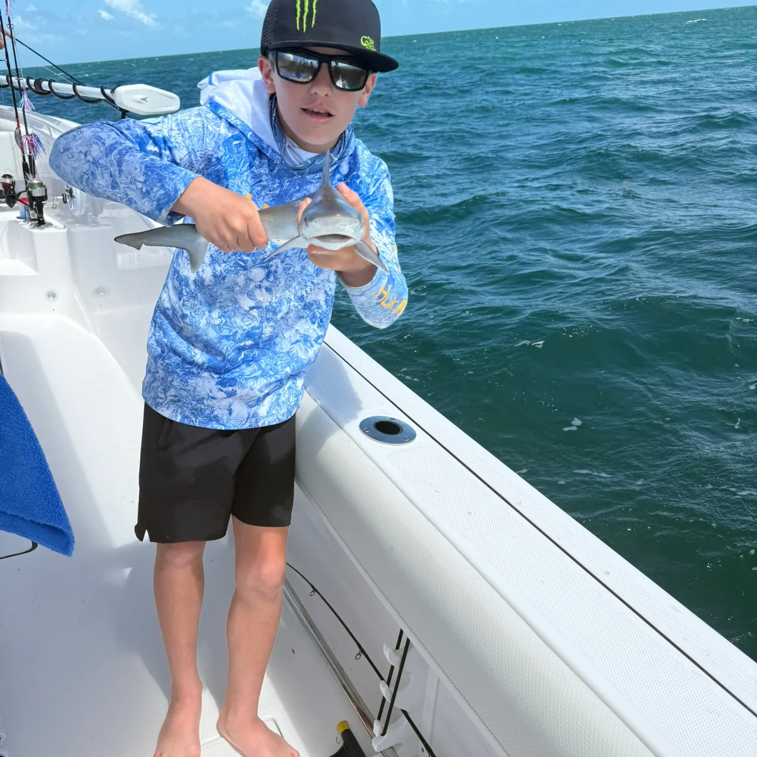 The most recent Atlantic sharpnose shark catches on Fishbrain