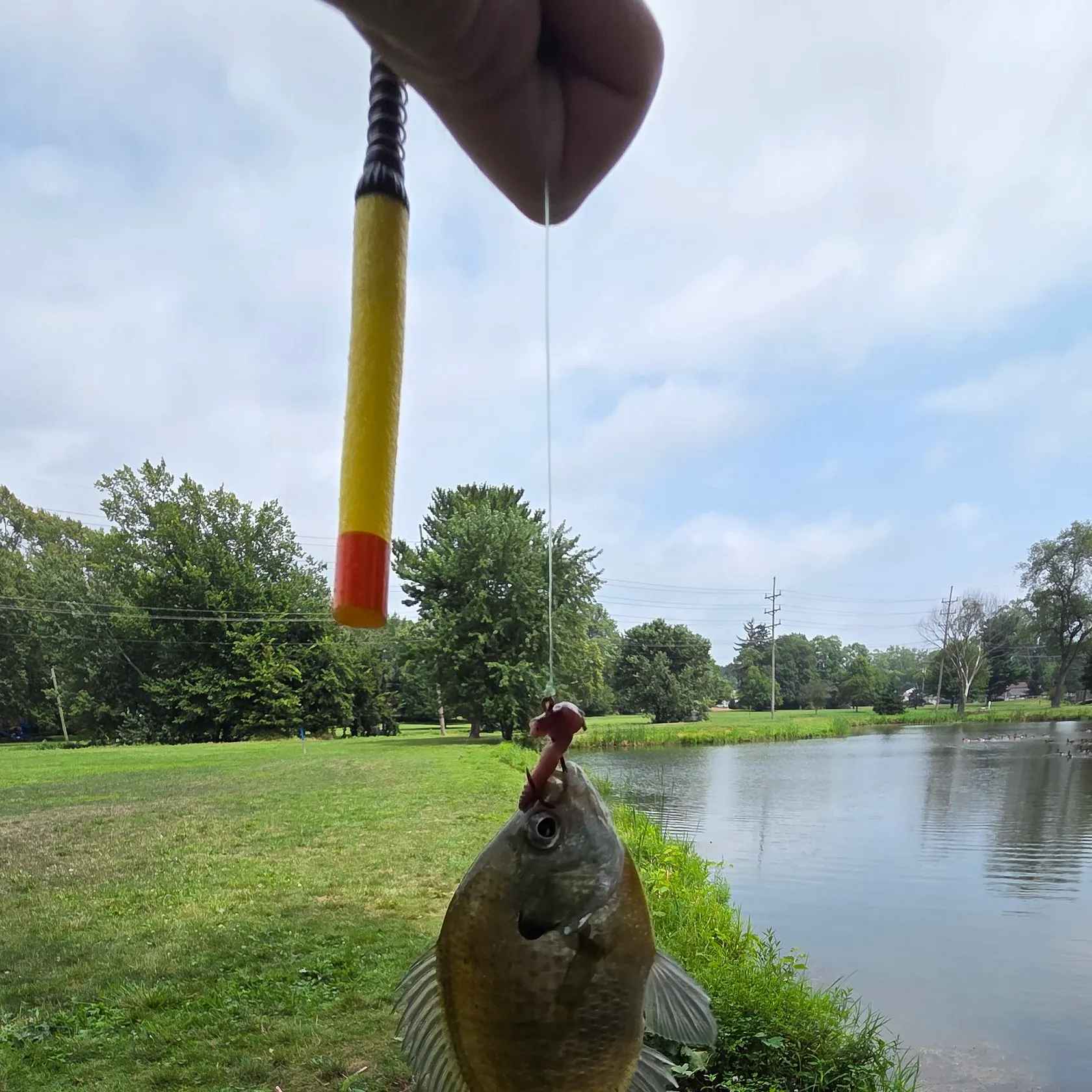 catch