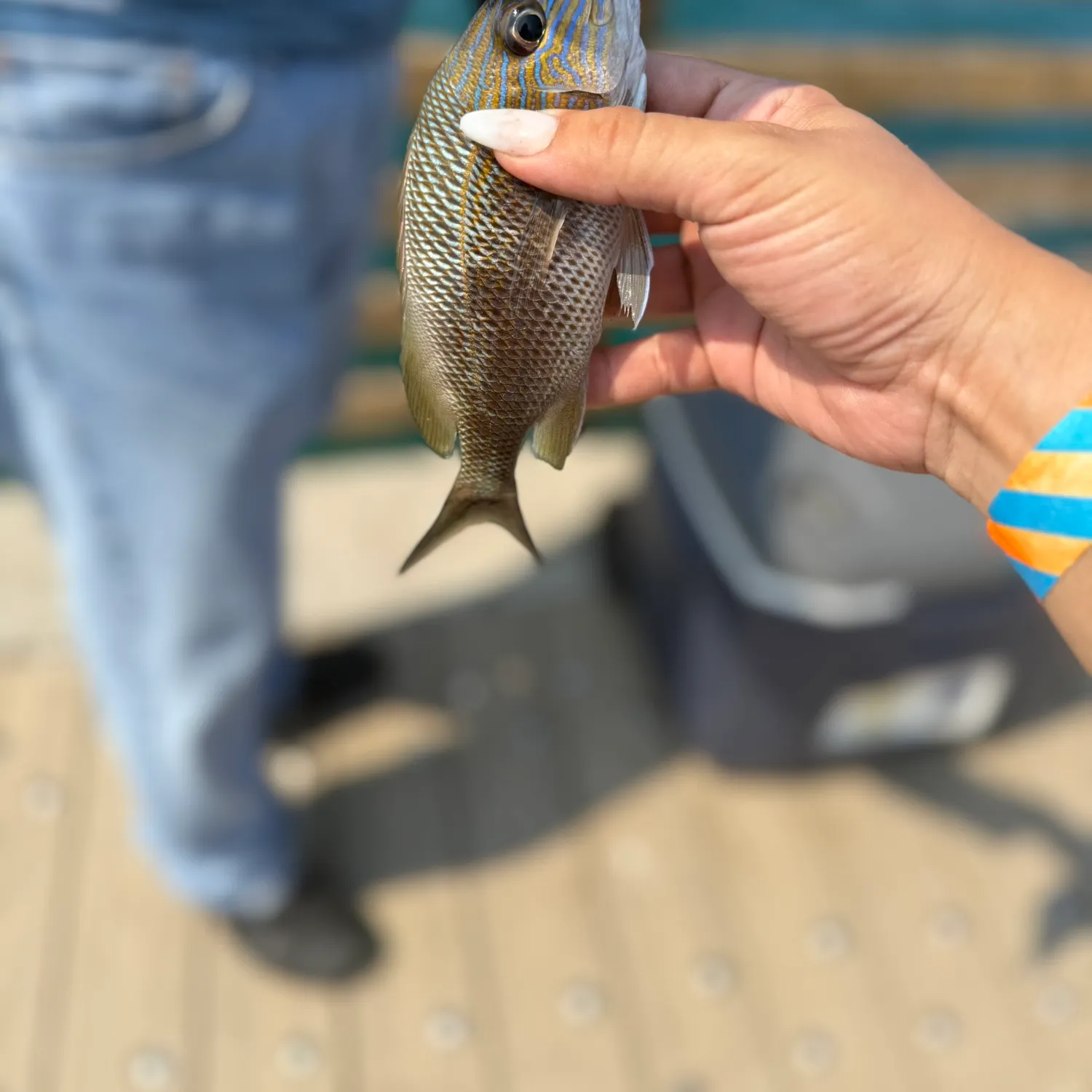 catch