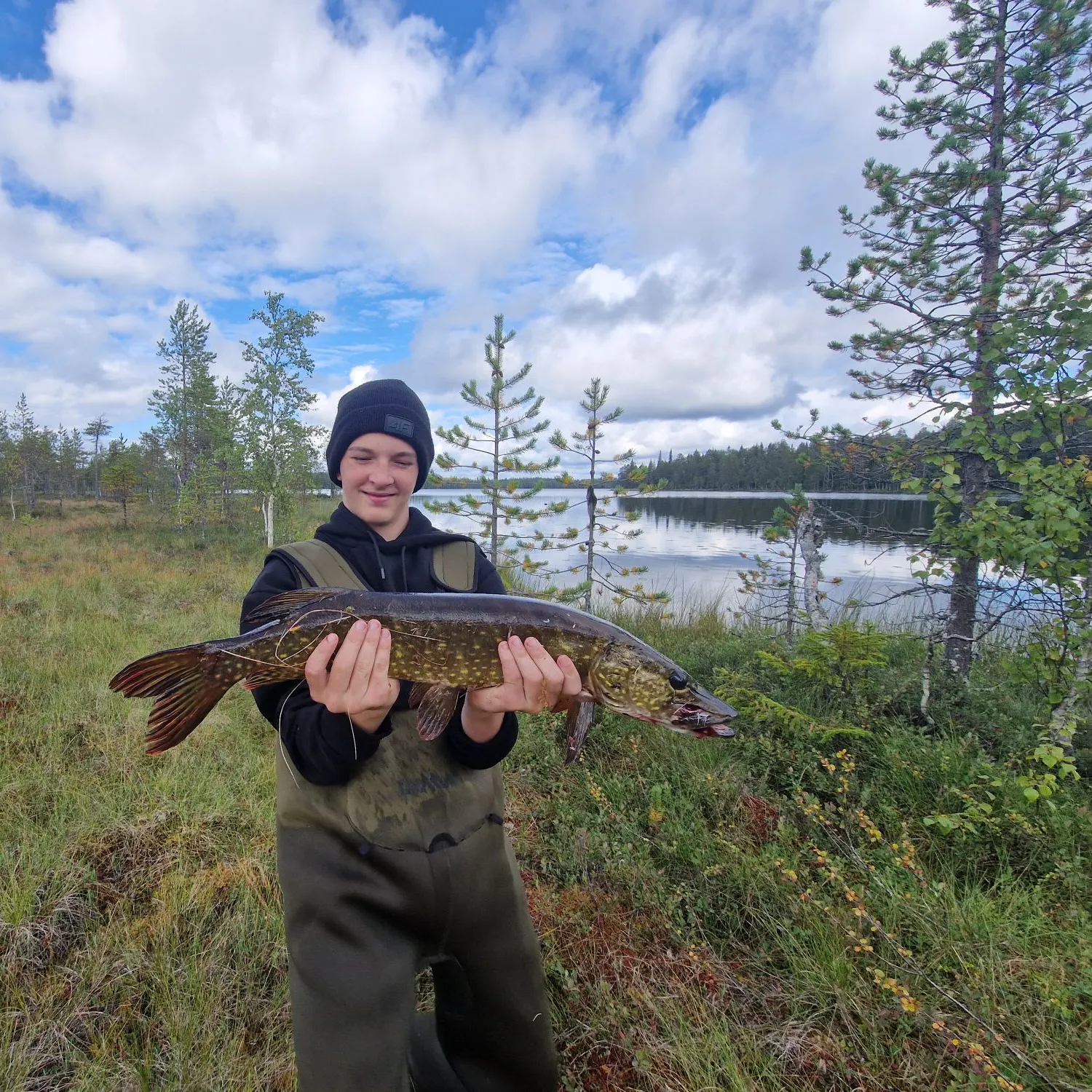 Northern pike caught on Fishbrain