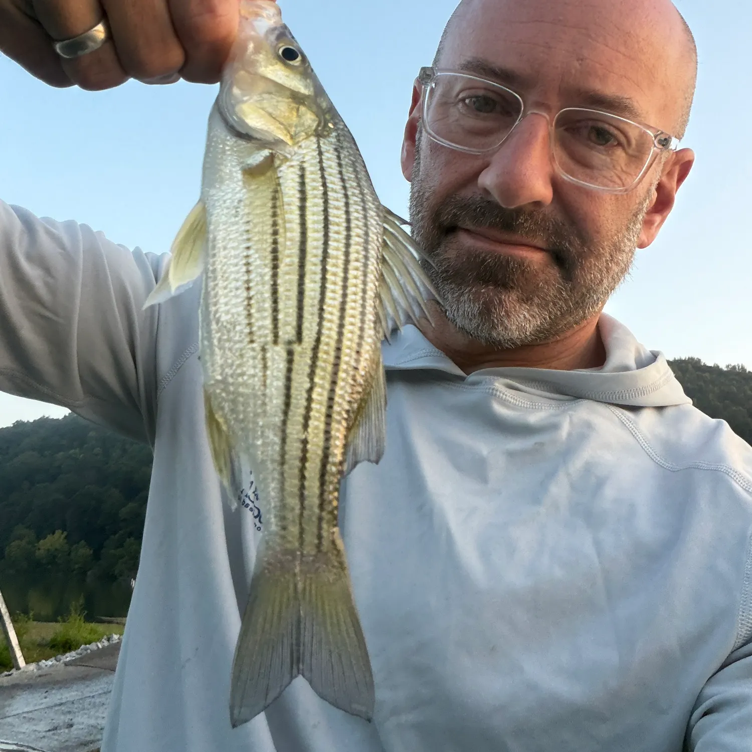 Yellow bass caught on Fishbrain
