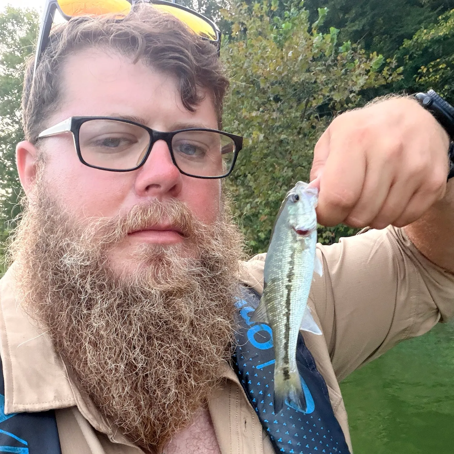 Spotted bass caught on Fishbrain