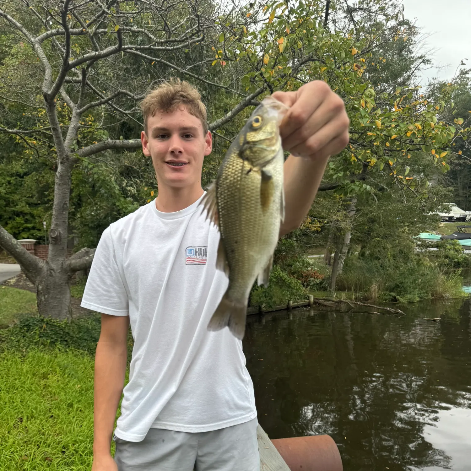 White perch caught on Fishbrain