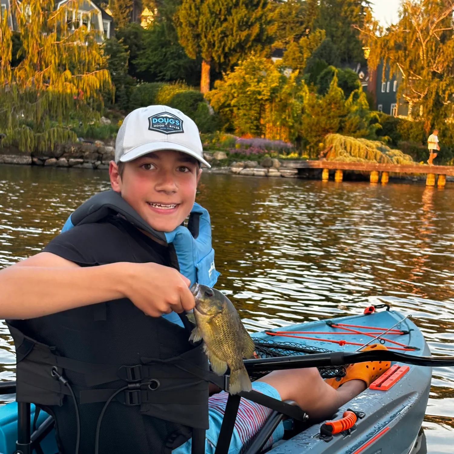 Rock bass caught on Fishbrain