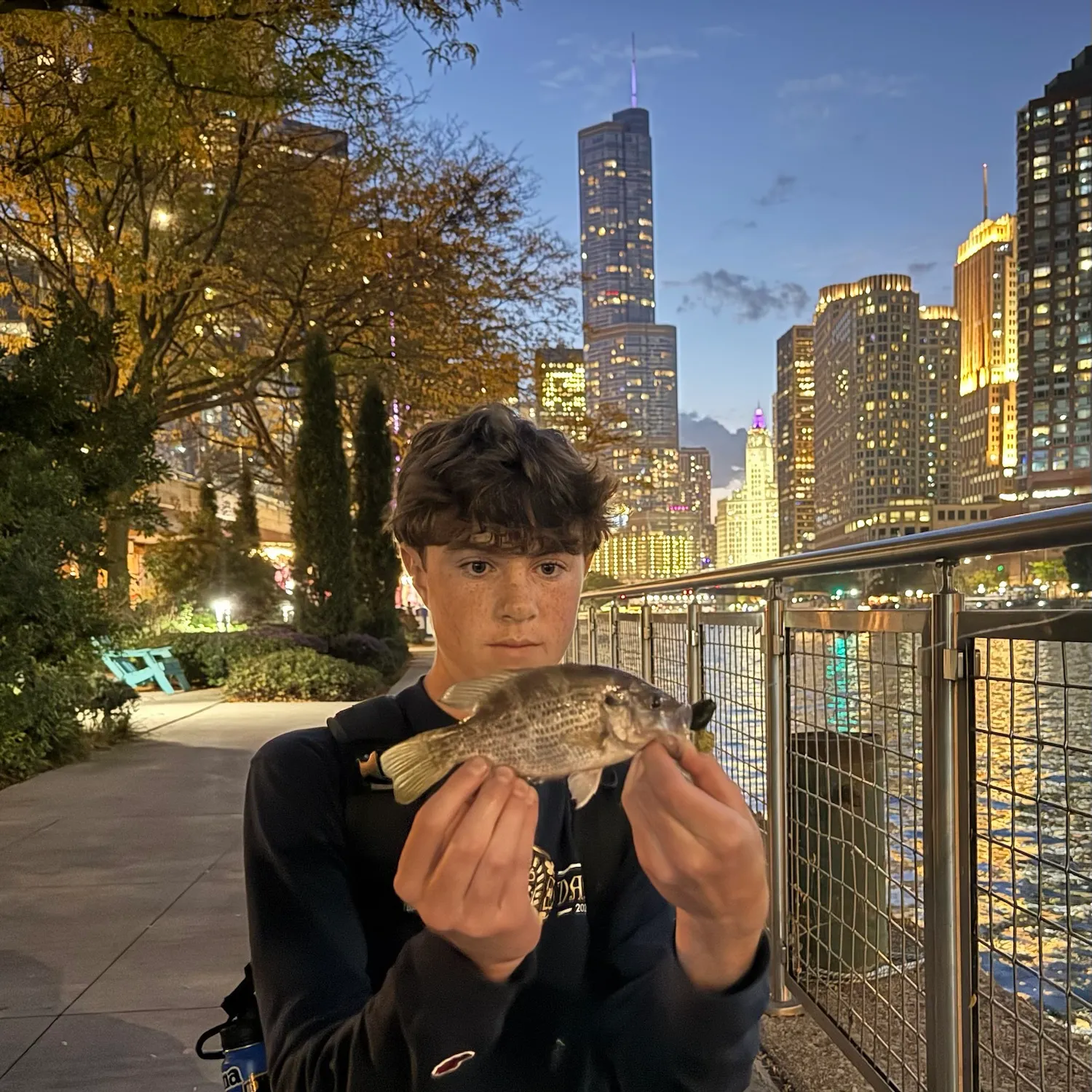 catch