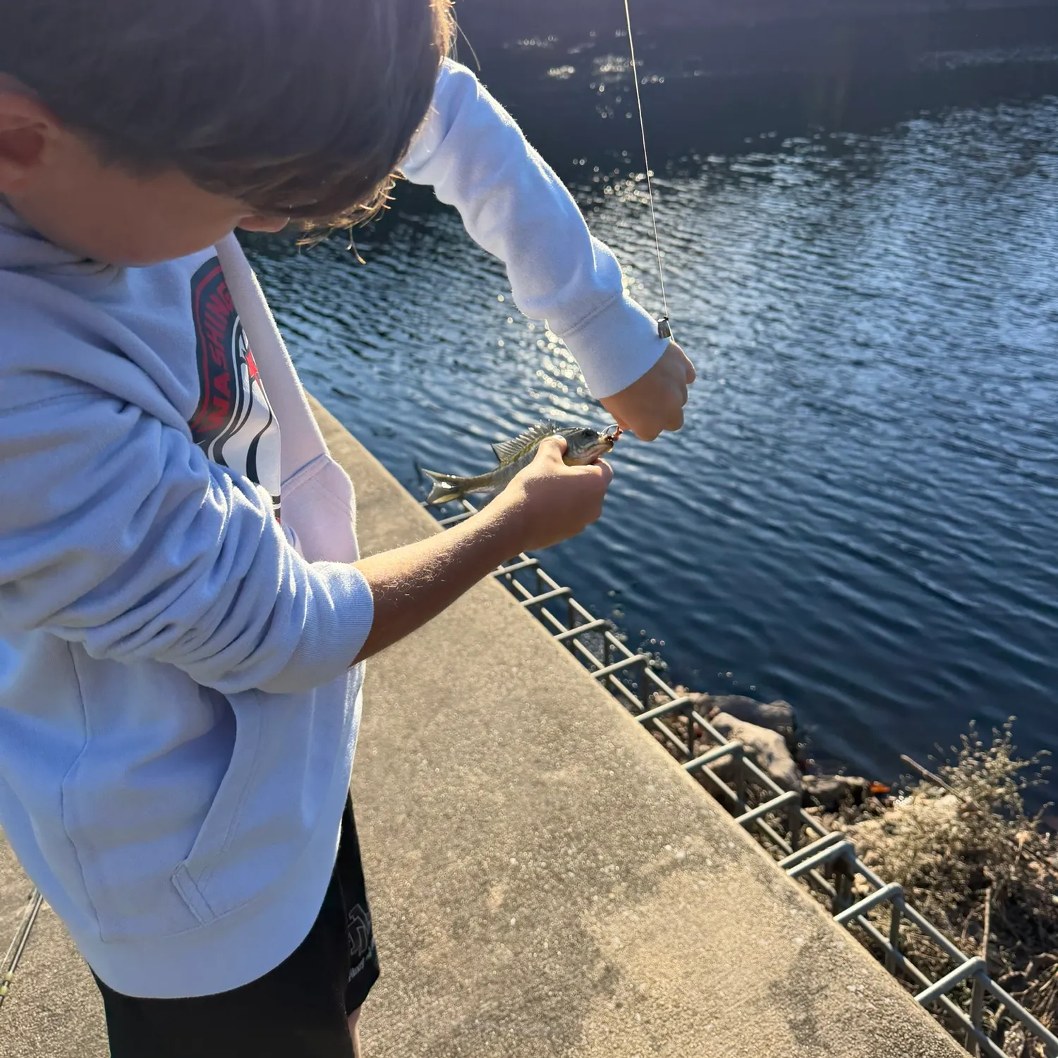 Fish caught on Fishbrain