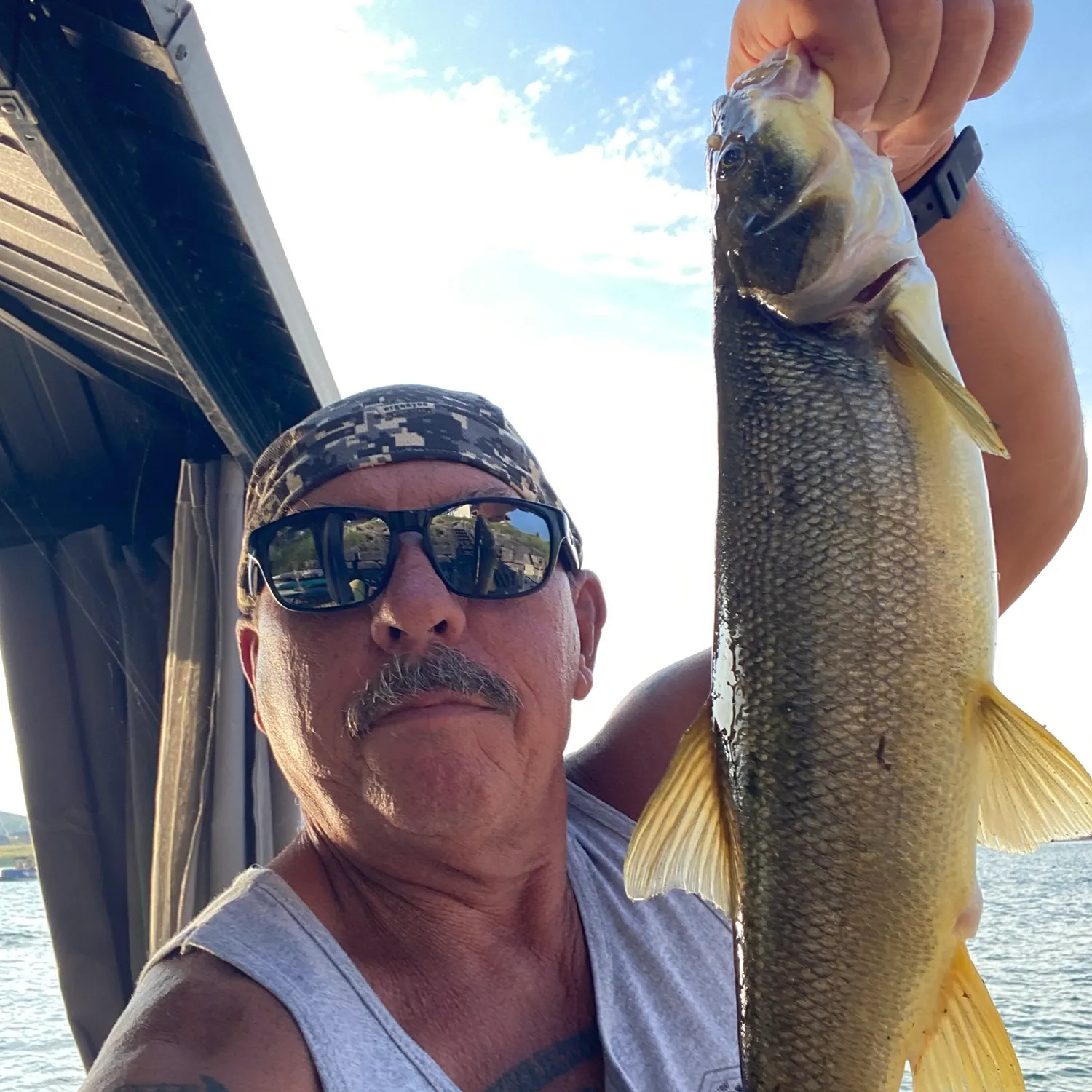 The most recent Northern pikeminnow catches on Fishbrain