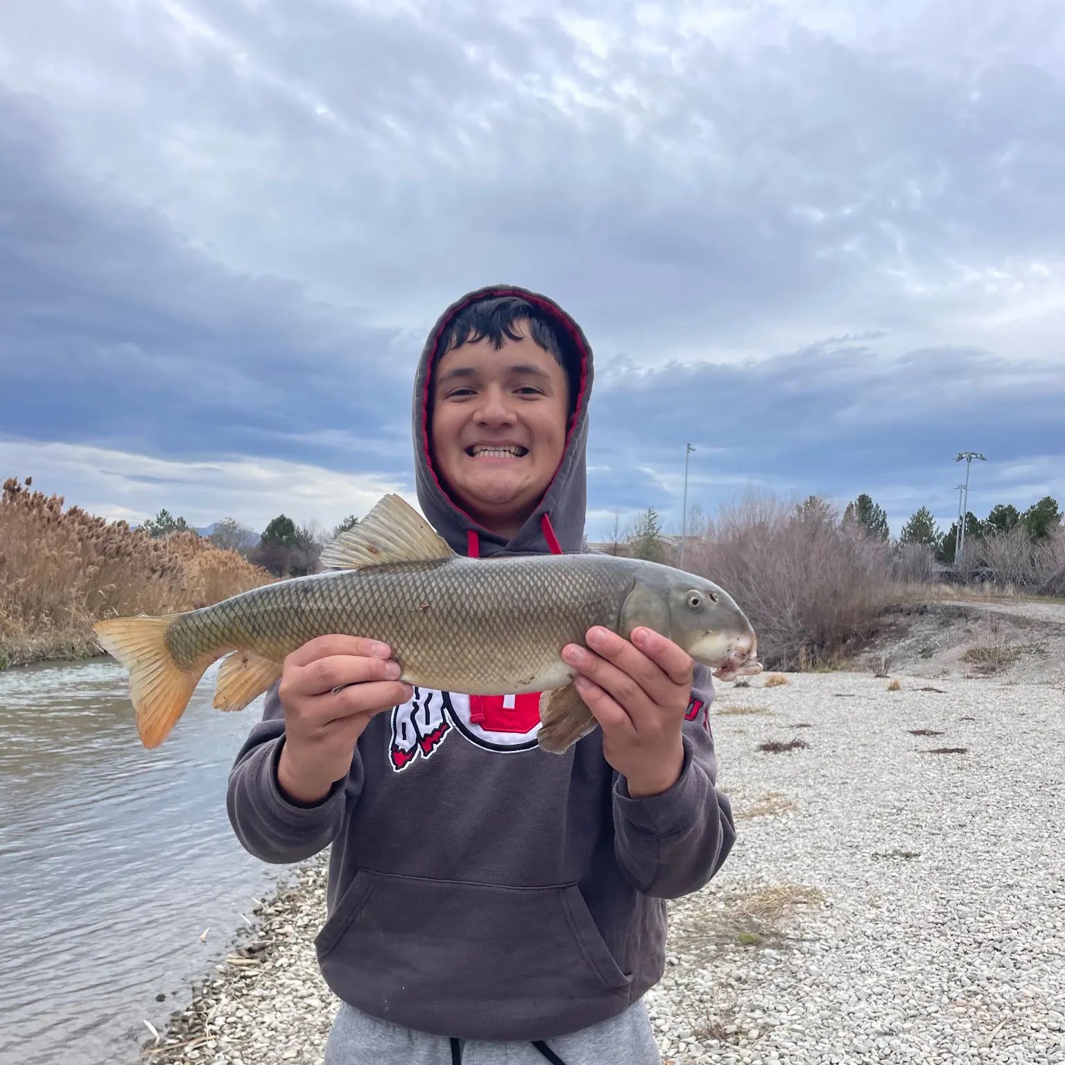 The most recent Utah sucker catches on Fishbrain