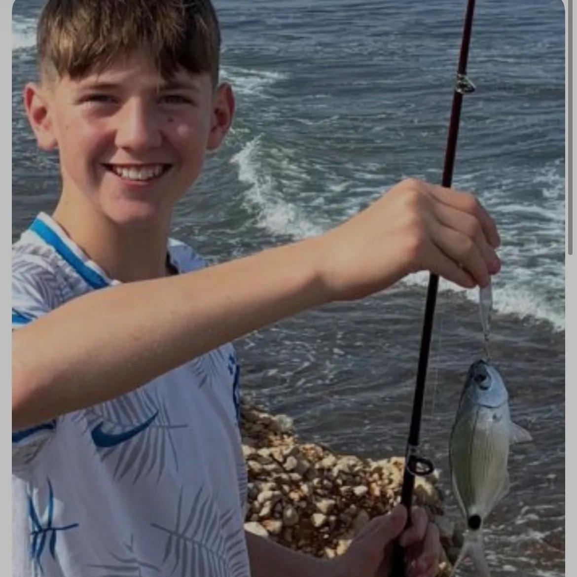 The most recent Common seabream catches on Fishbrain