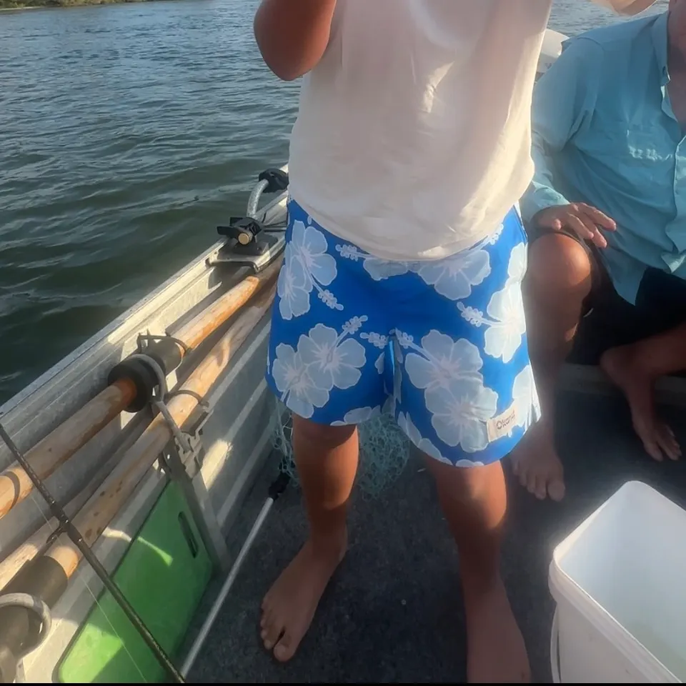 The most recent King George whiting catches on Fishbrain