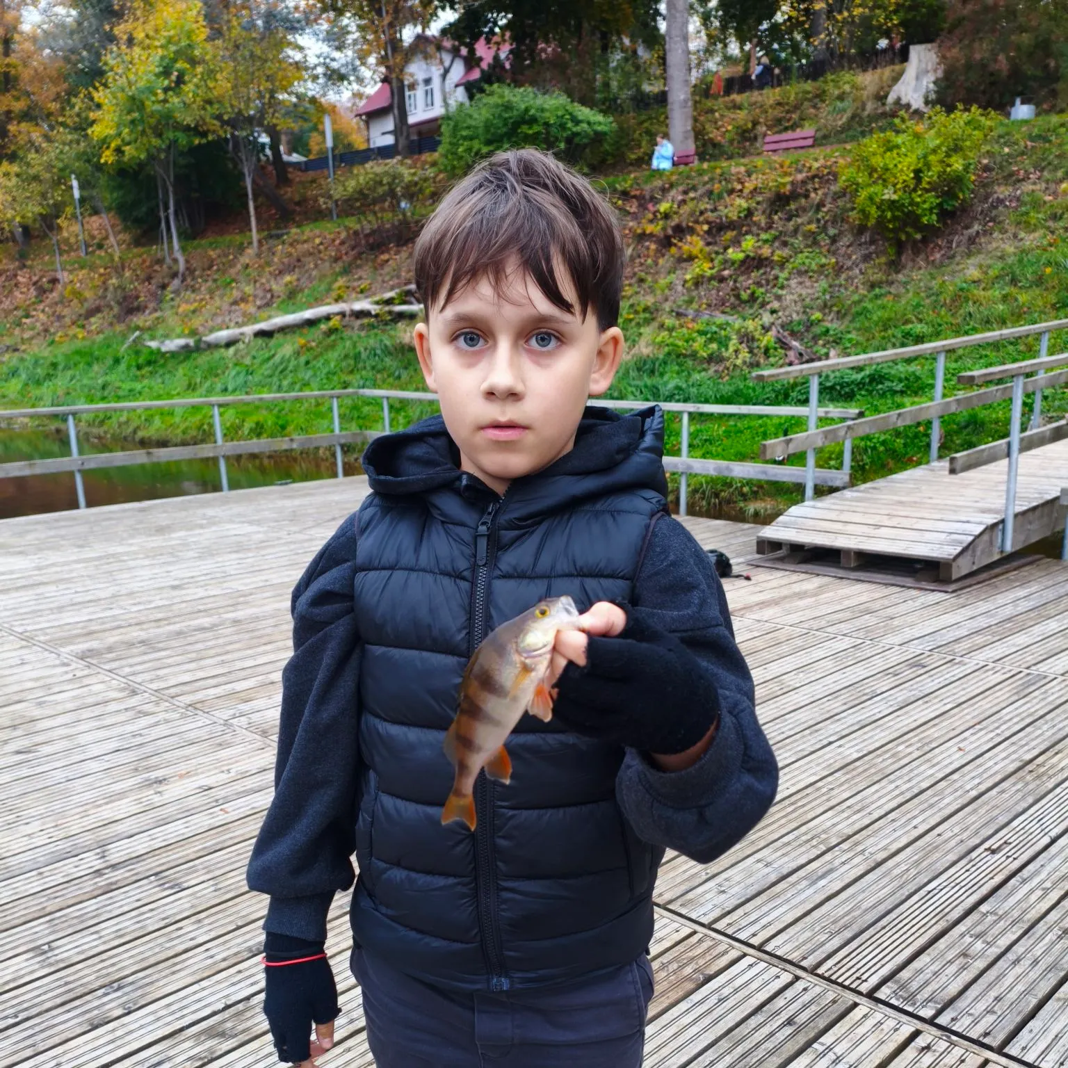 European perch caught on Fishbrain