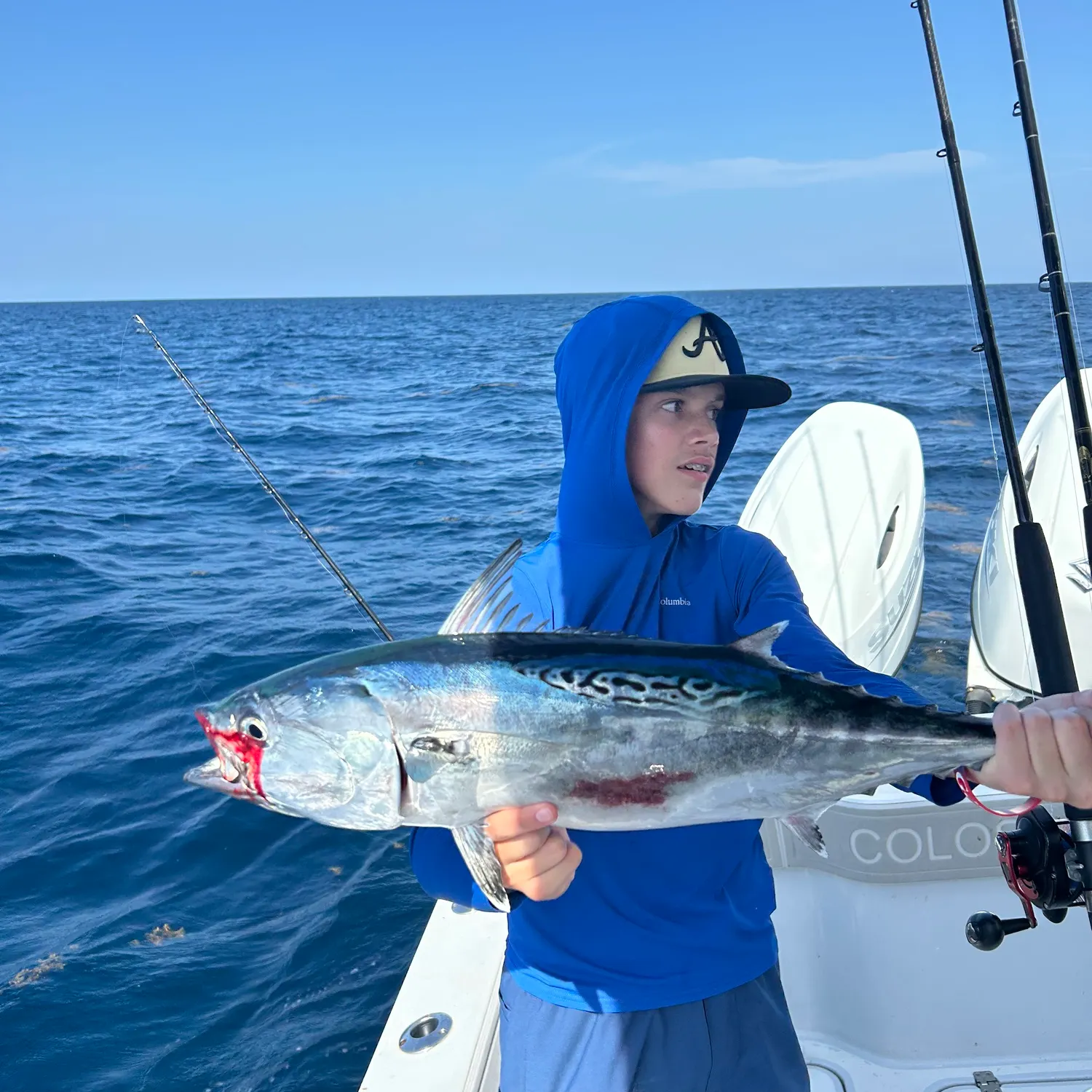 The most recent Little tunny catches on Fishbrain