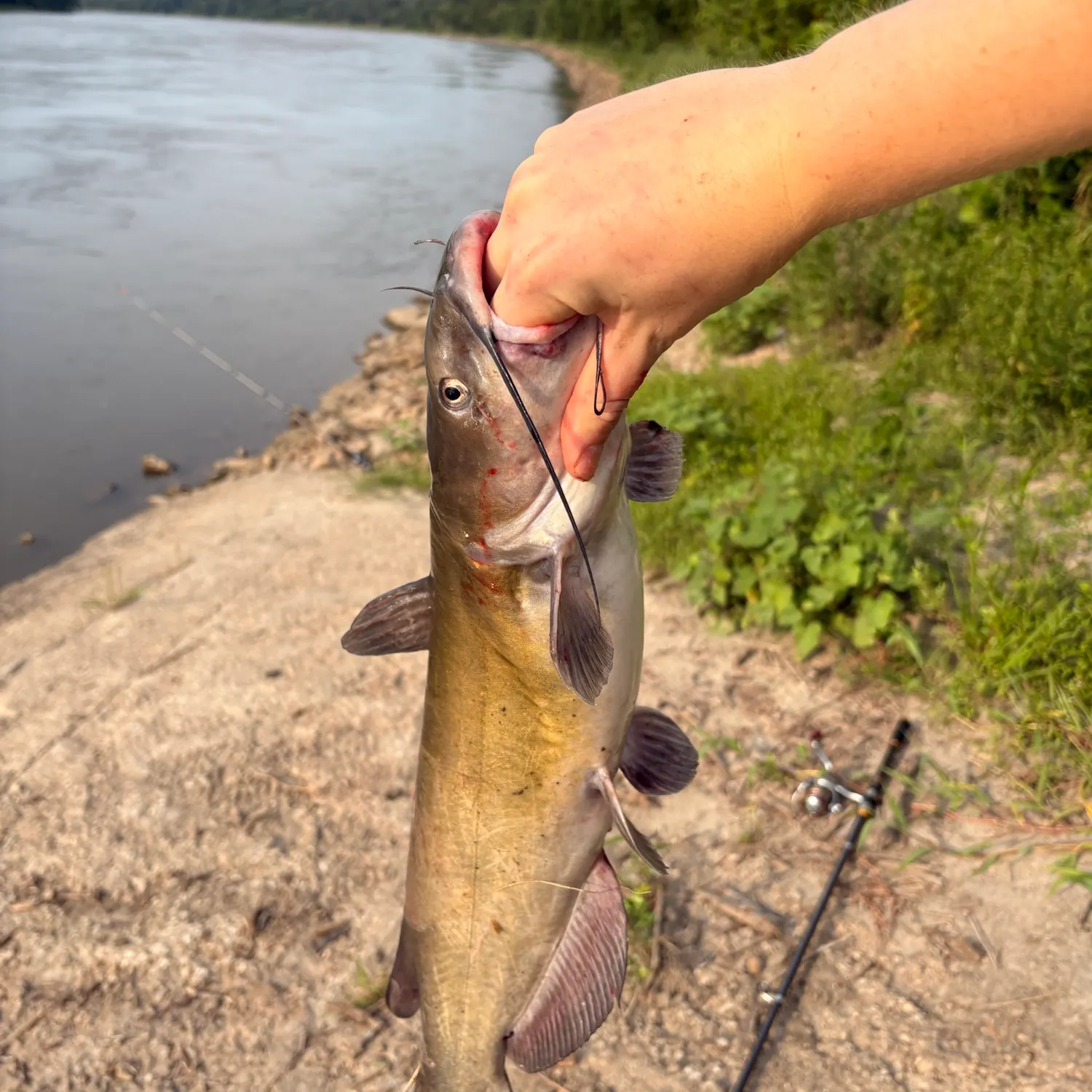 catch