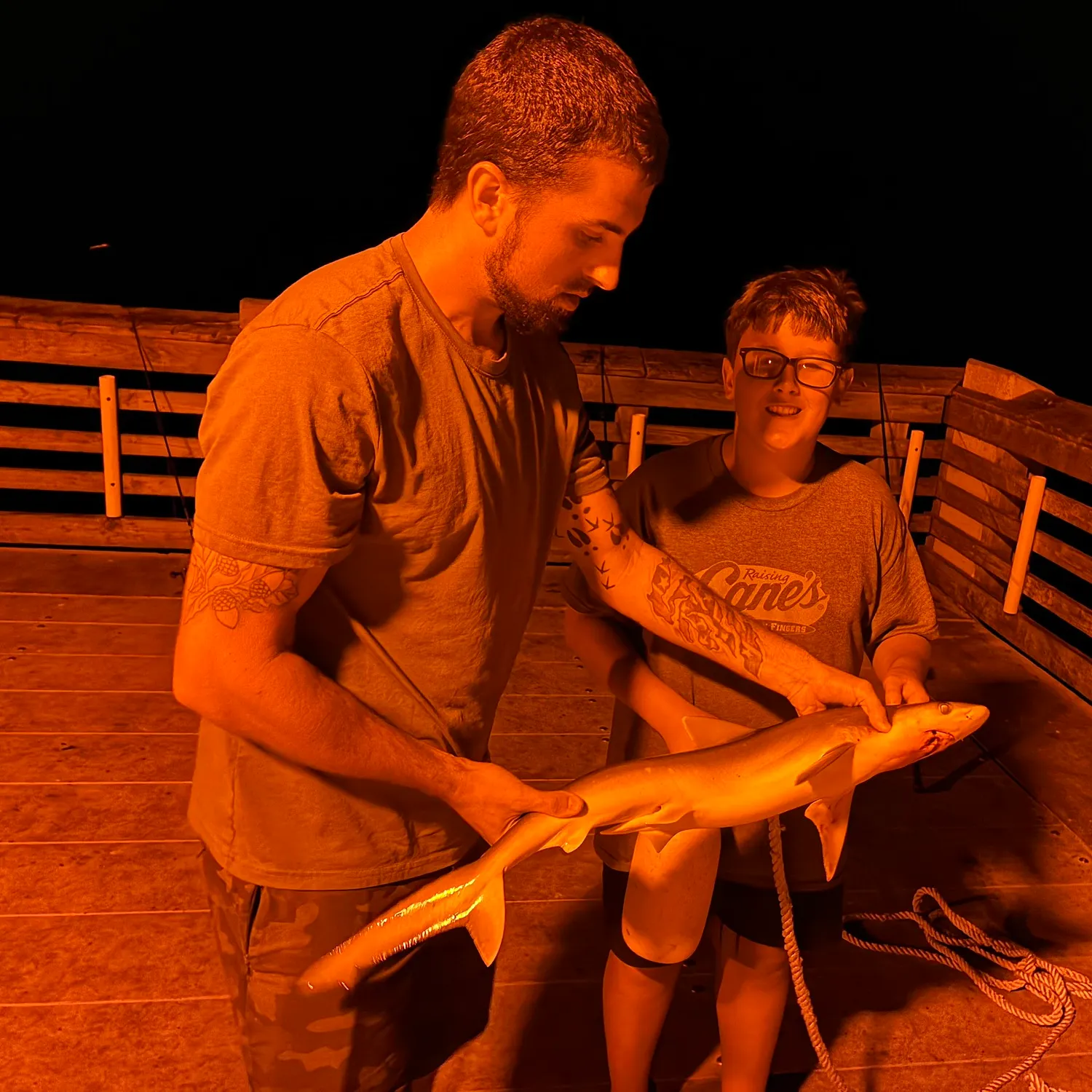 Blacktip shark caught on Fishbrain
