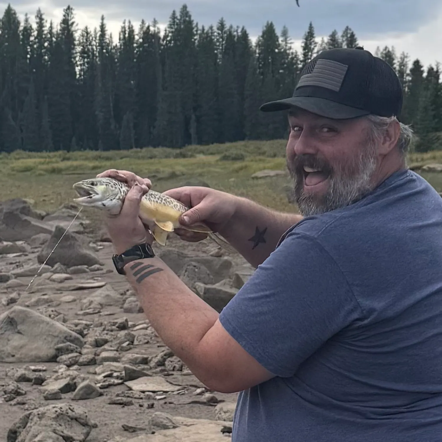The most recent Tiger trout catches on Fishbrain