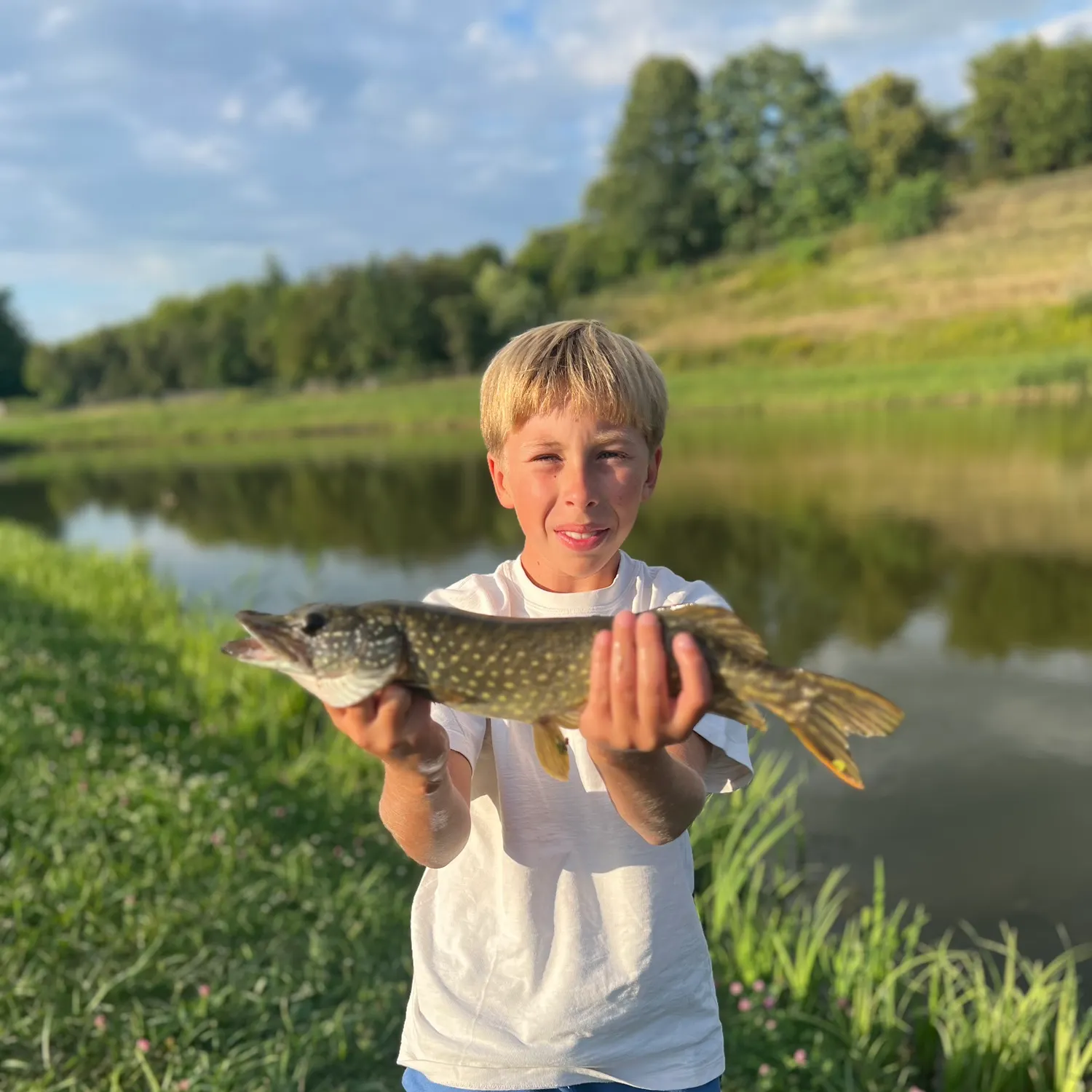 Northern pike caught on Fishbrain
