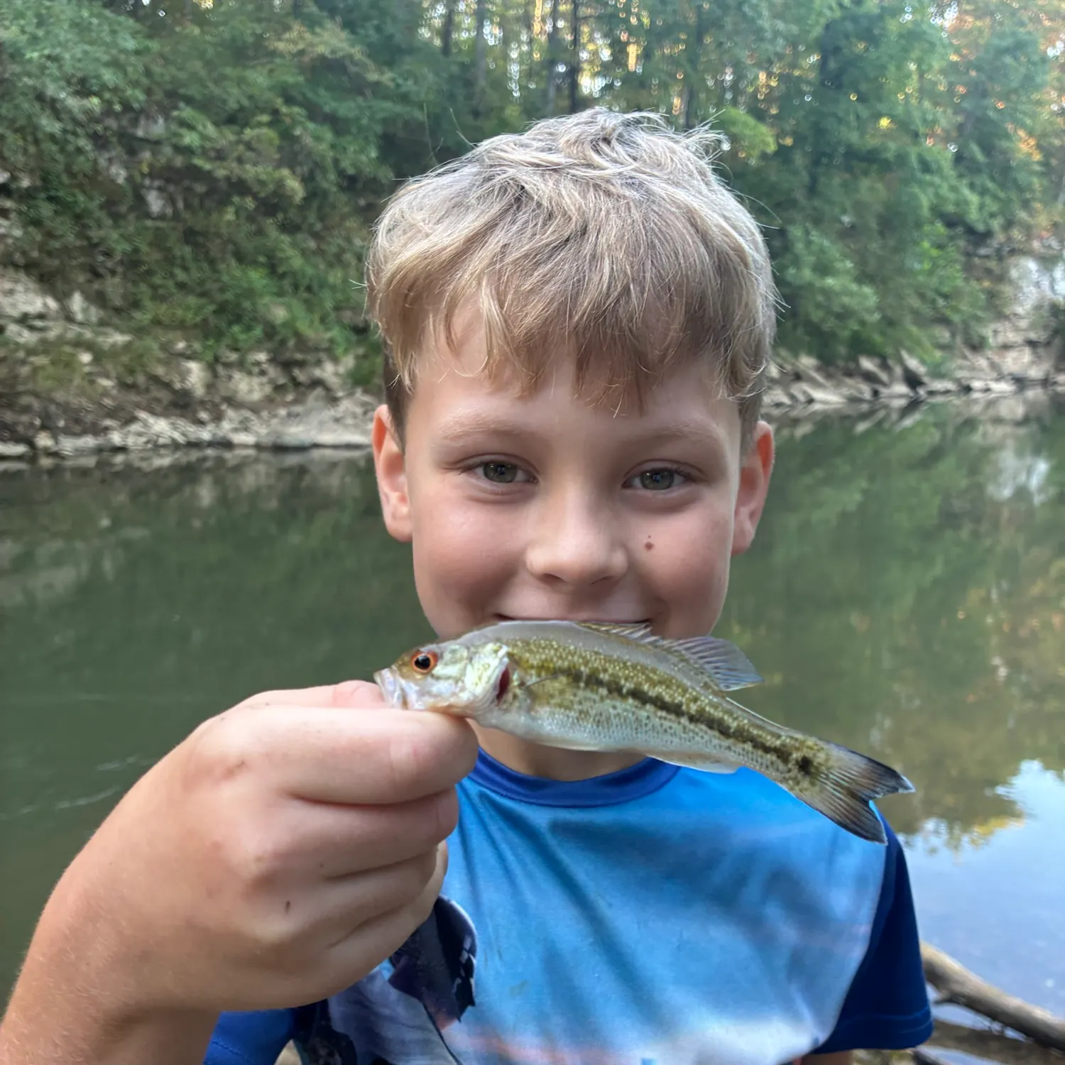 Spotted bass caught on Fishbrain