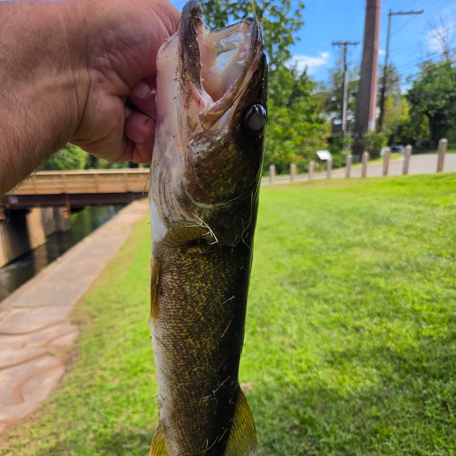 catch