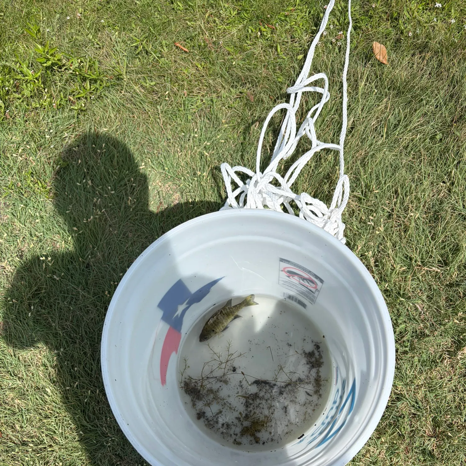 Fish caught on Fishbrain