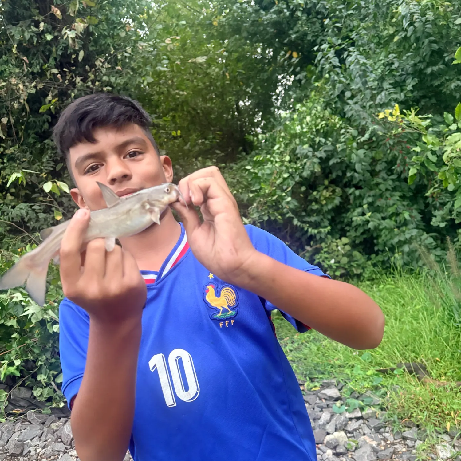 Channel catfish caught on Fishbrain