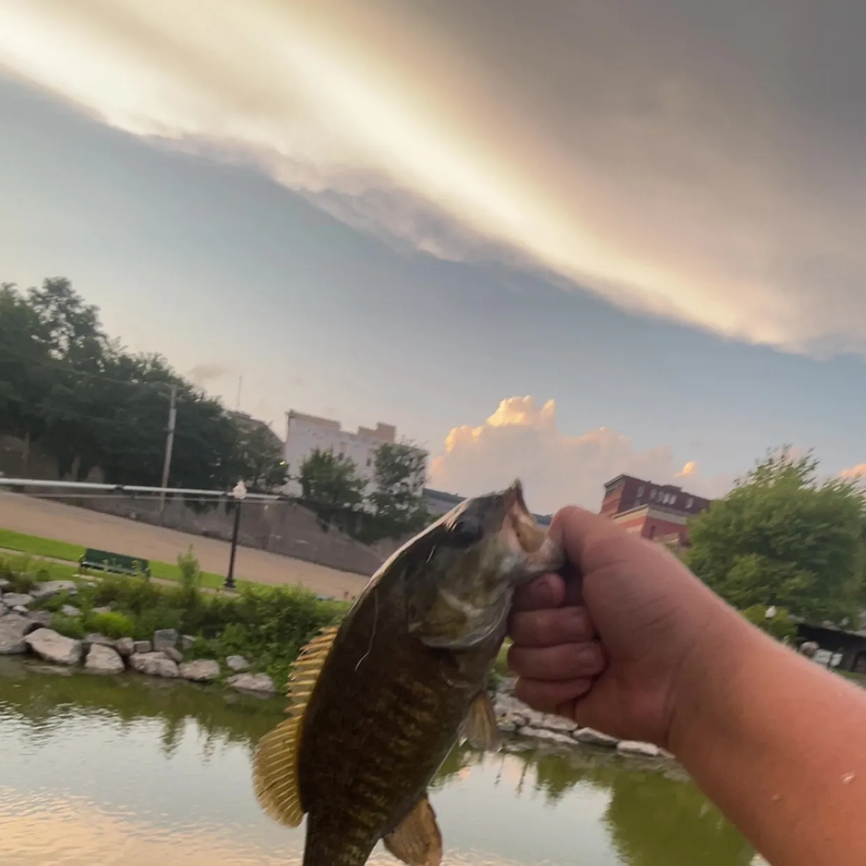 catch
